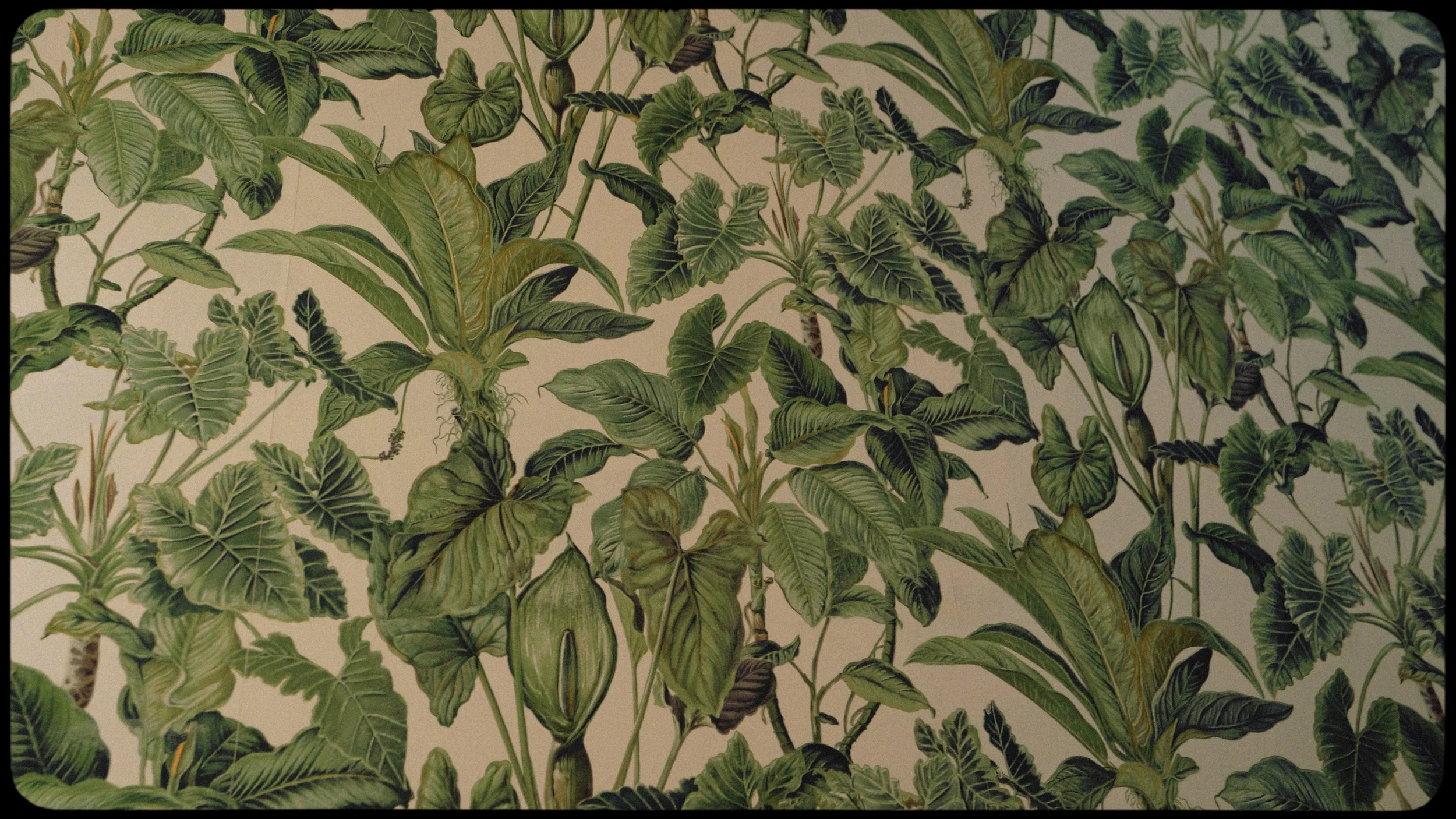 Close-up of a wall covered with green foliage and patterned leaves, creating a lush, botanical appearance.