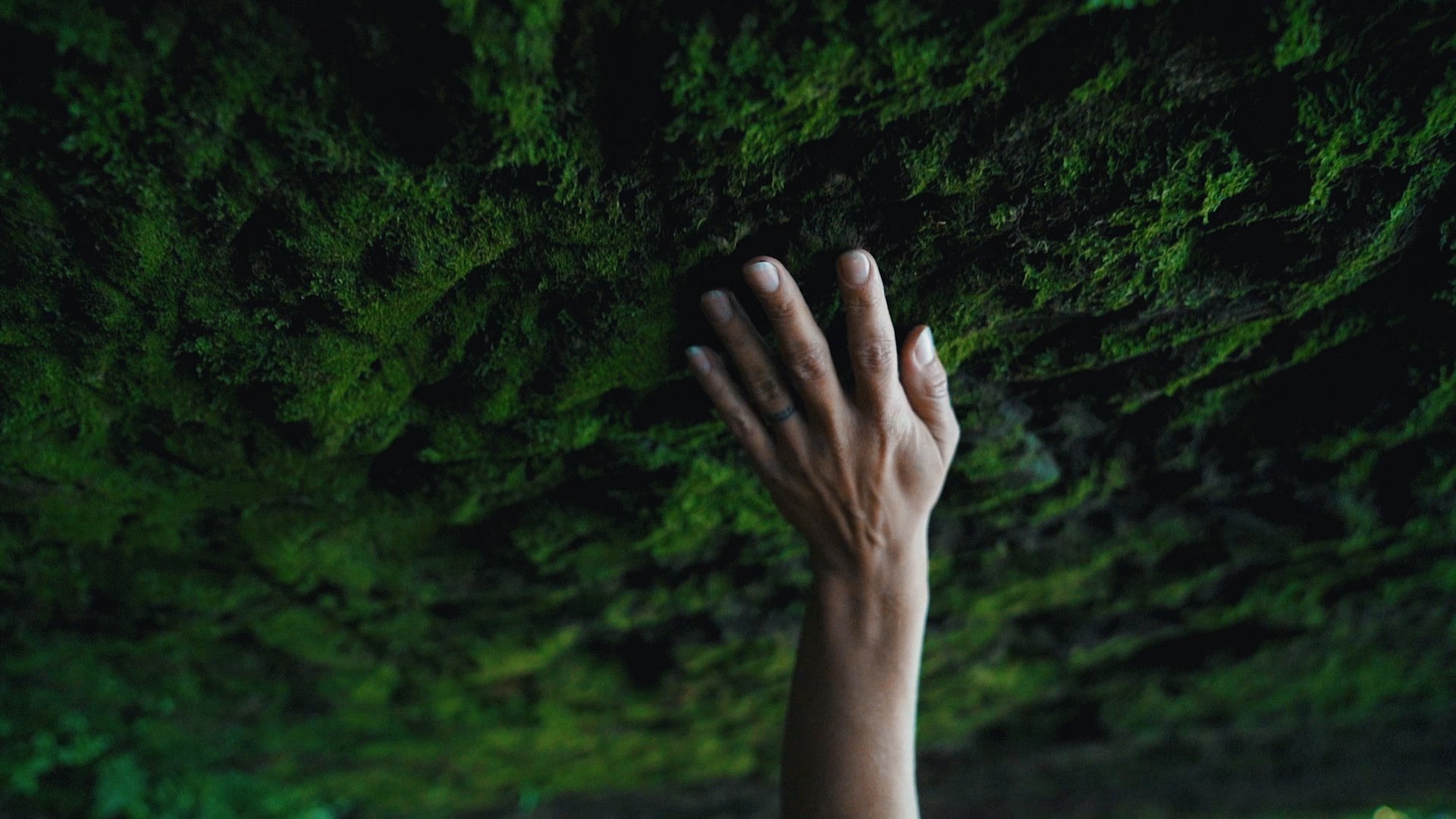 A hand with a wedding ring touches a moss-covered rock wall in a dark environment.