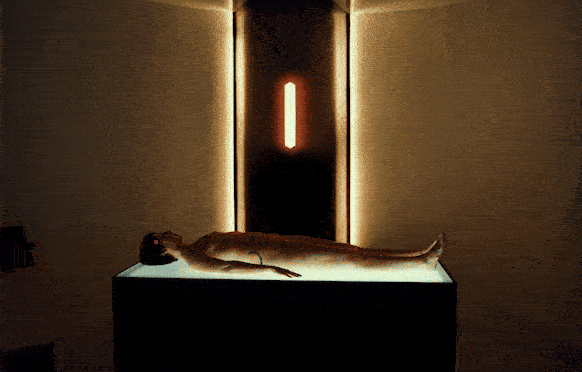 SHORT FILM [THE FEMALE SIDE EFFECT]