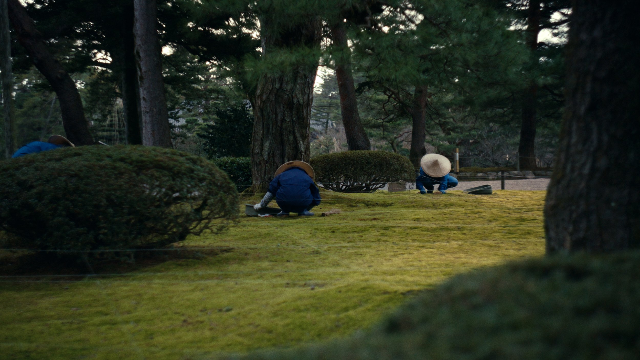 Japan aftervideo nico FINAL5.jpg