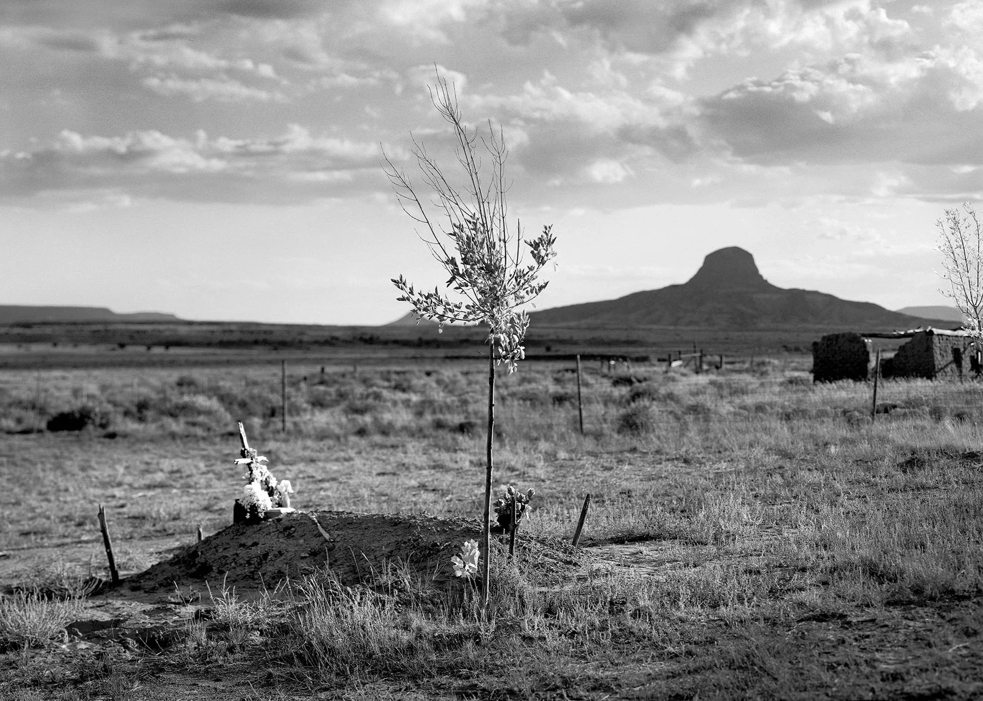  
 
 Grave of Esequiel Dominguez 
 San Luis, New Mexico 1992 
 It took me twenty-five years to make it to San Luis. I kept circling back to the idea of that place, the wide valley, the way the horizon breathes, and yet for years I couldn’t quite get 