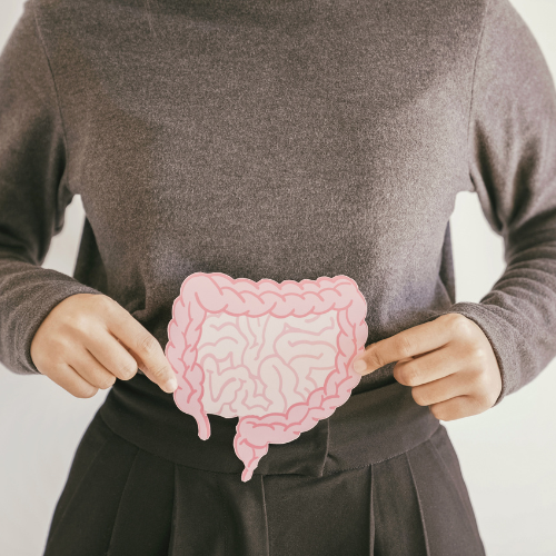 Gut Health &amp; Hormone Harmony: The Keys to Thriving Through Perimenopause