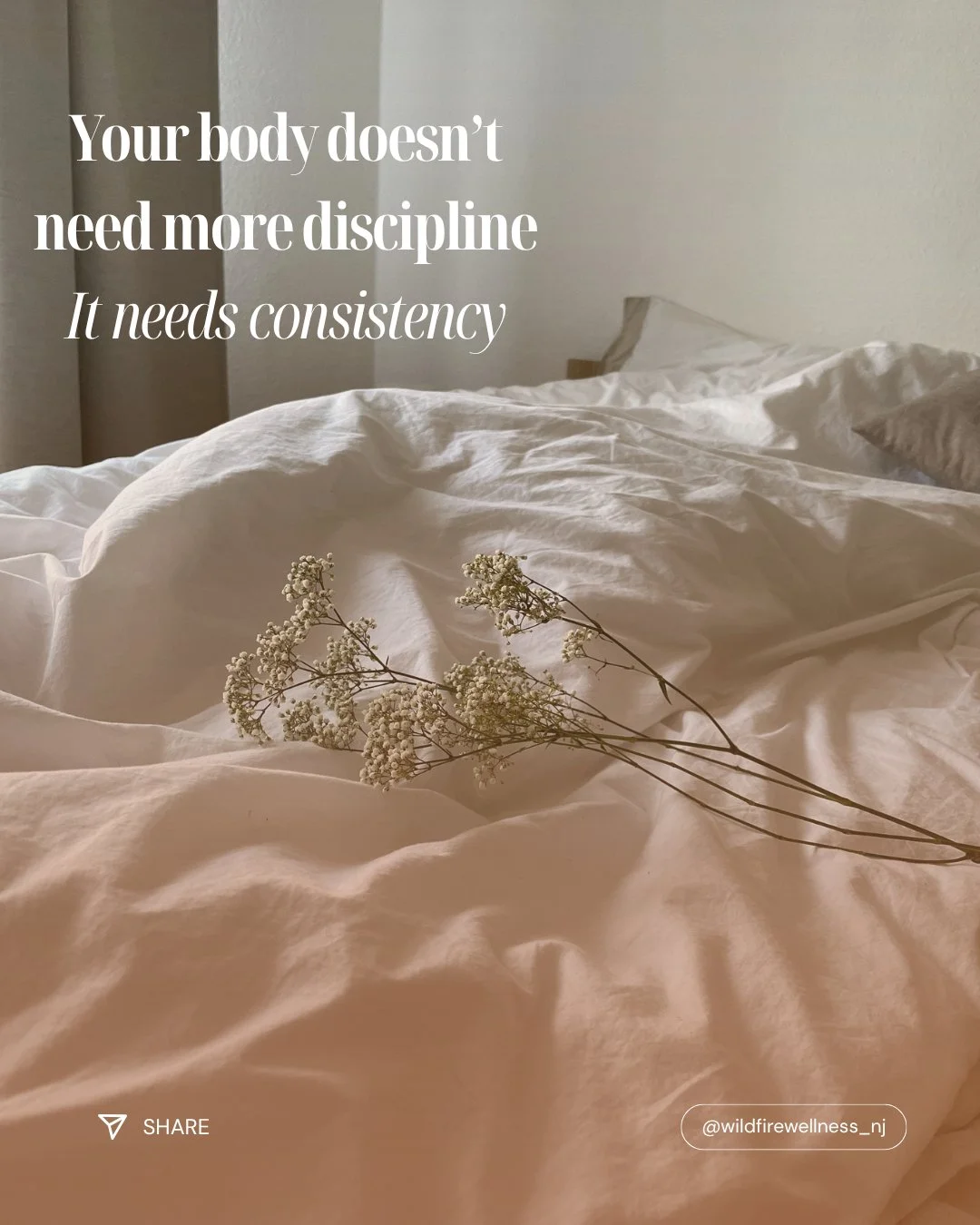 Simple daily support > extreme resets 

Let us help you find a morning routine that best supports your body. Here at Wildfire Wellness, Kat Farrell, MSN, MS, RN, FNP-BC, will help you reach your true potential. Book a free discovery call on our we