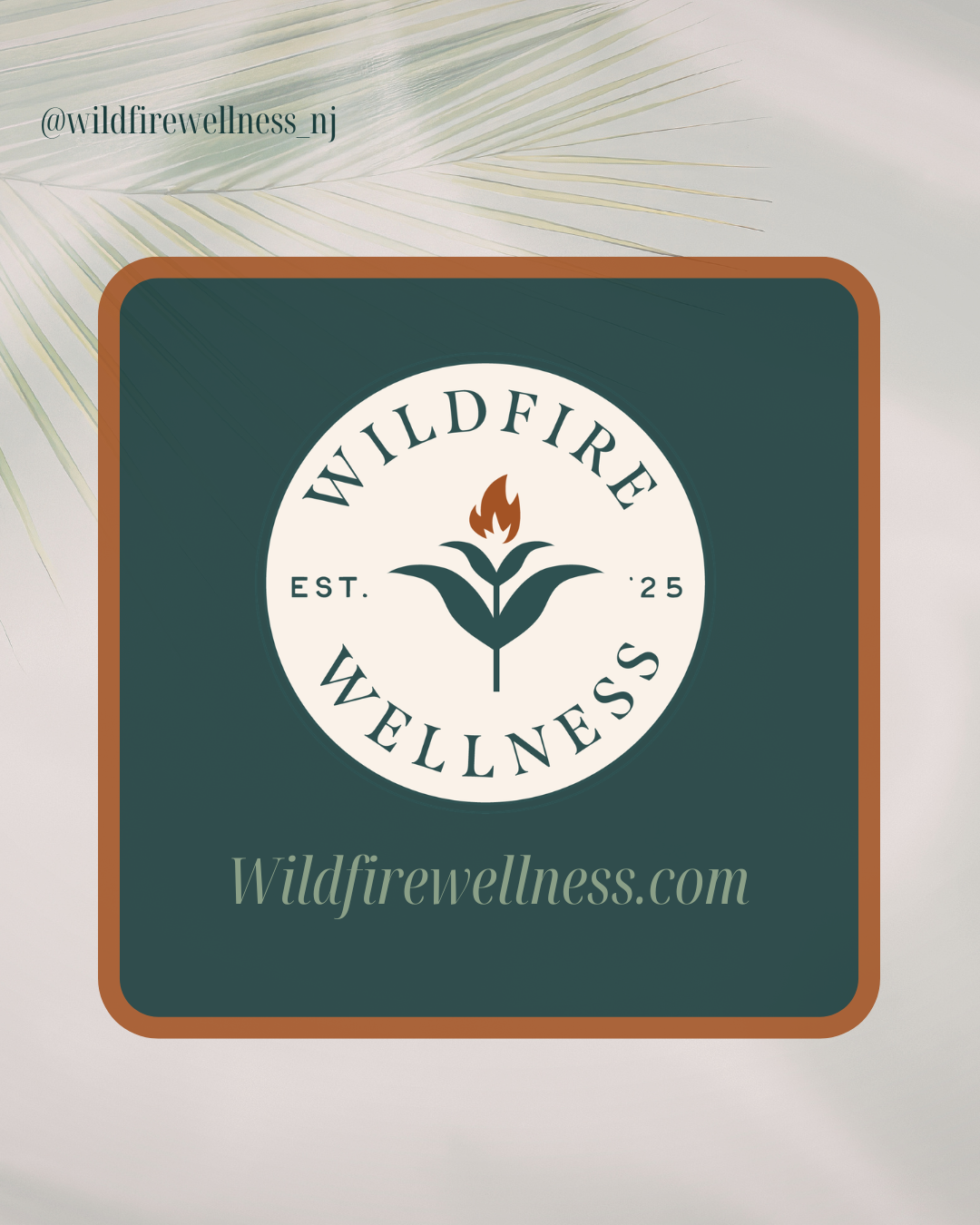 Foundations First: Building Hormonal Harmony in Perimenopause and Menopause