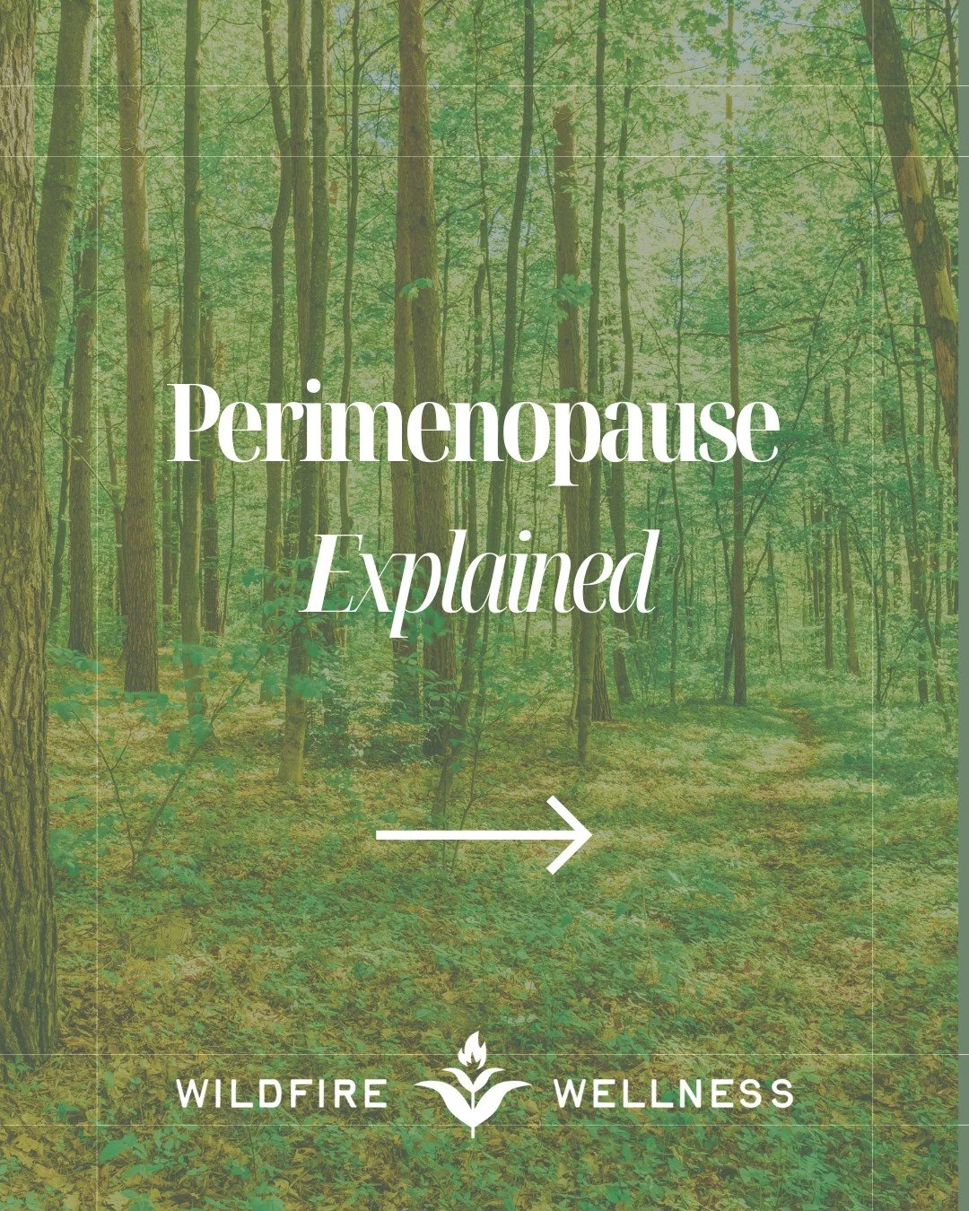 Feeling unlike yourself lately? It may not be &ldquo;just stress.&rdquo;
Many women enter perimenopause without realizing what is happening to their bodies.

Suddenly they experience:
&bull; weight gain
&bull; exhaustion
&bull; brain fog
&bull; poor 