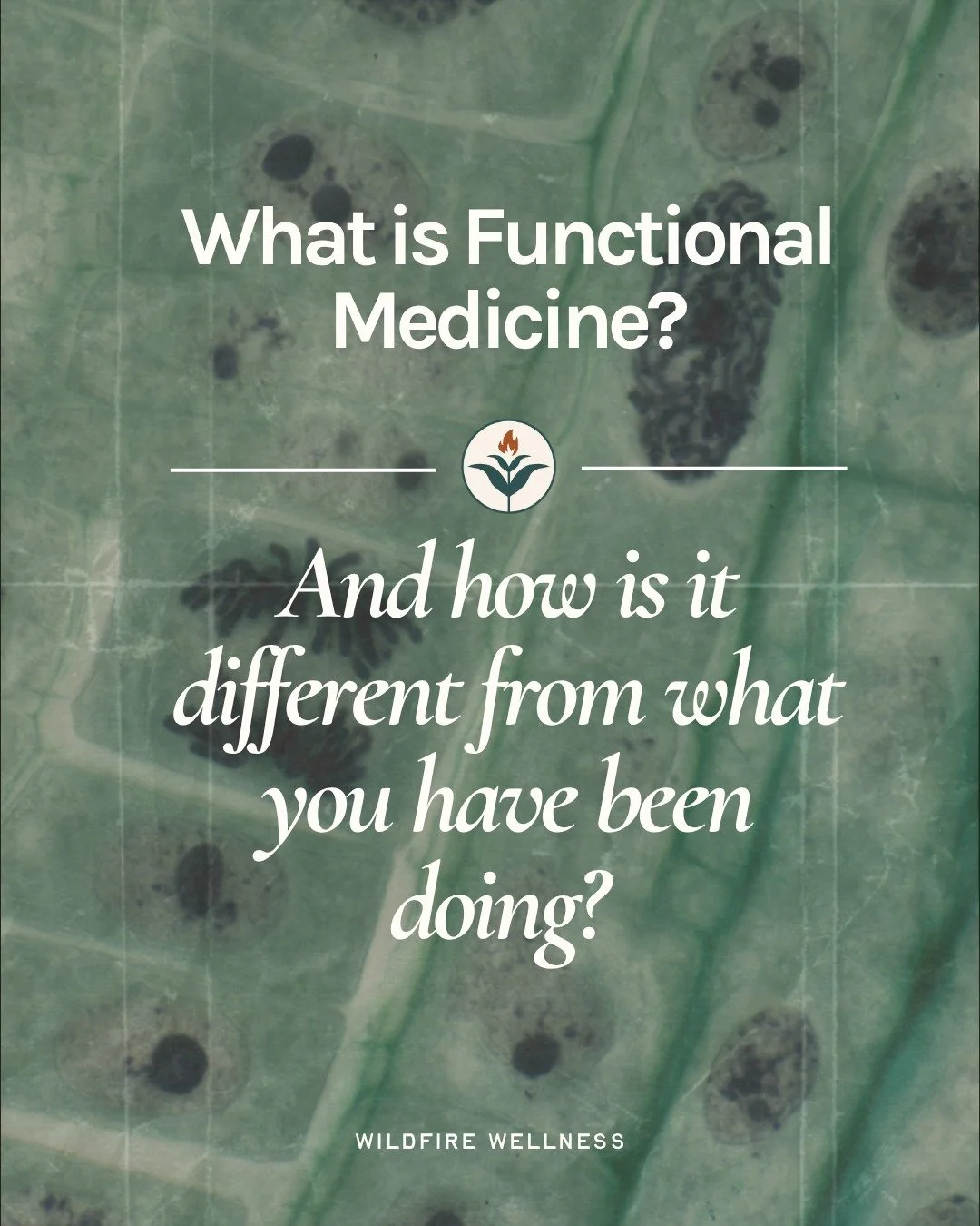 What is functional medicine and how is it different from what you have been doing?

Conventional medicine asks: What disease do you have?

Functional medicine asks: Why is your body responding this way?

It's the difference between a 15-minute appoin
