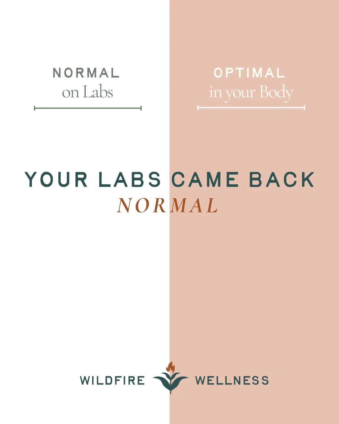 Your labs came back normal.

But "normal" on standard bloodwork means you don't have a disease. It doesn't mean your hormones are optimized. It doesn't mean your thyroid is functioning well. It doesn't mean your gut is absorbing nutrients. 