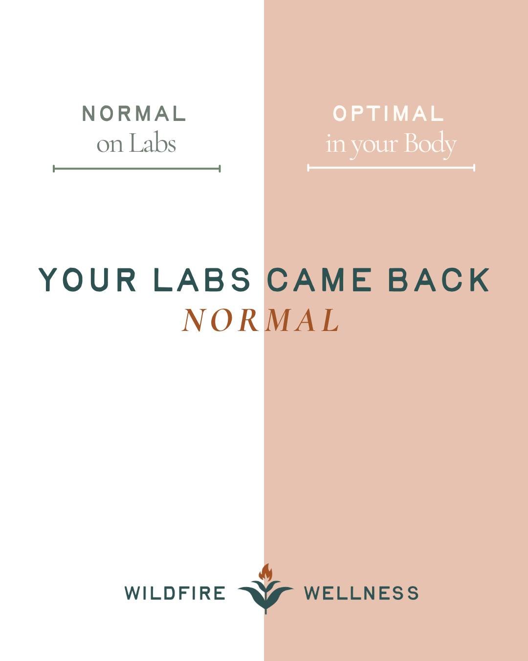 Your labs came back normal.

But "normal" on standard bloodwork means you don't have a disease. It doesn't mean your hormones are optimized. It doesn't mean your thyroid is functioning well. It doesn't mean your gut is absorbing nutrients. 