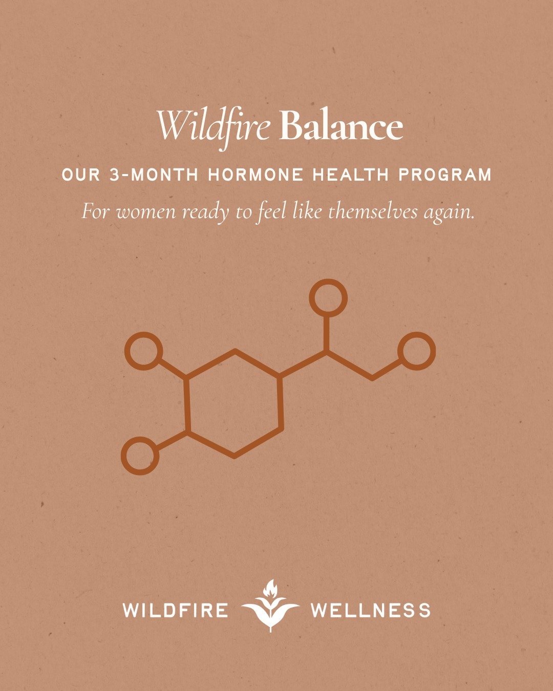 Hormone symptoms aren't one-size-fits-all.

Your care shouldn't be either.

Wildfire Balance is our signature 3-month hormone health program designed for women navigating perimenopause, menopause, and hormone-related symptoms who are looking for more