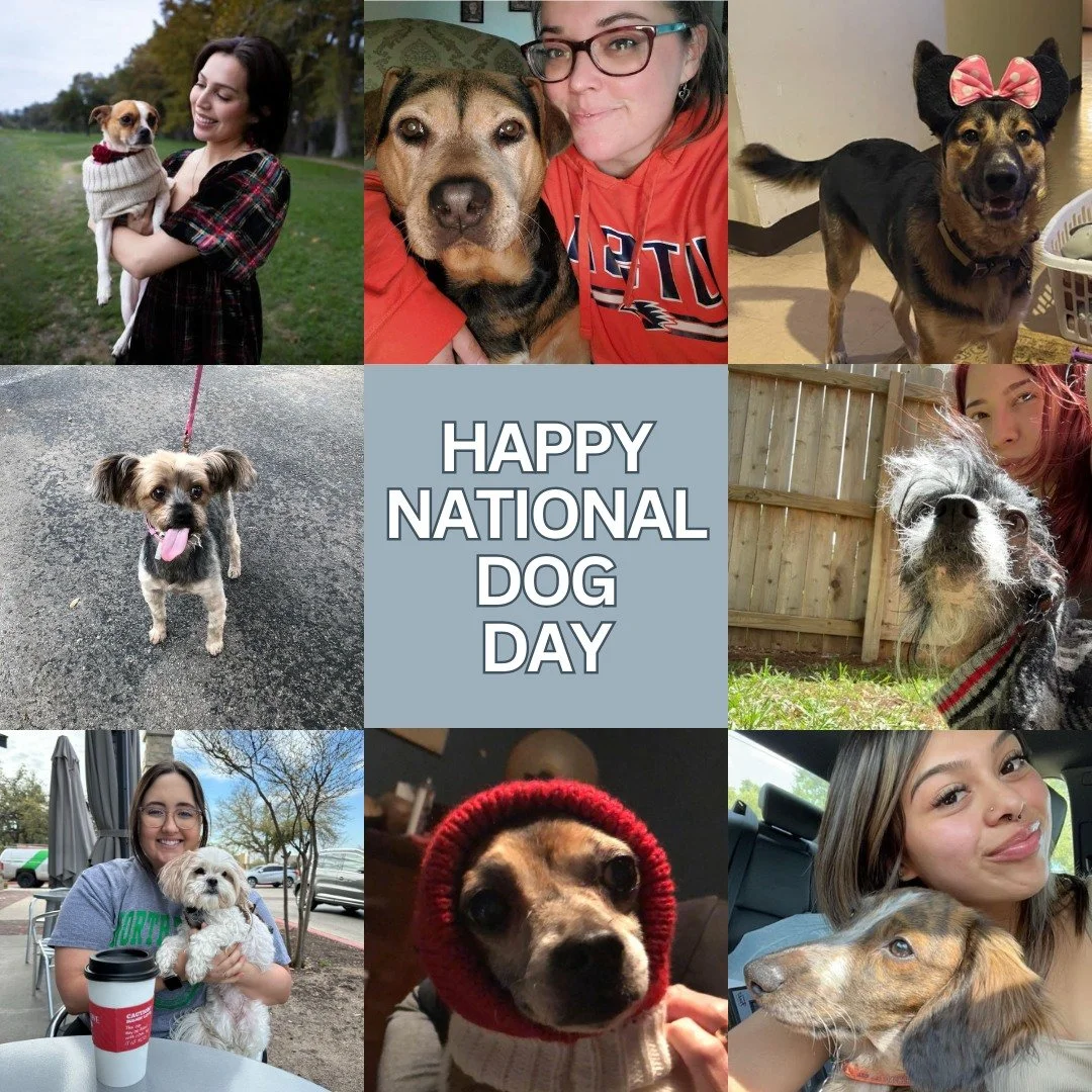 It's National Dog Day! Meet some of the dogs of Hill Country Dermatology 🐶🐾🐕