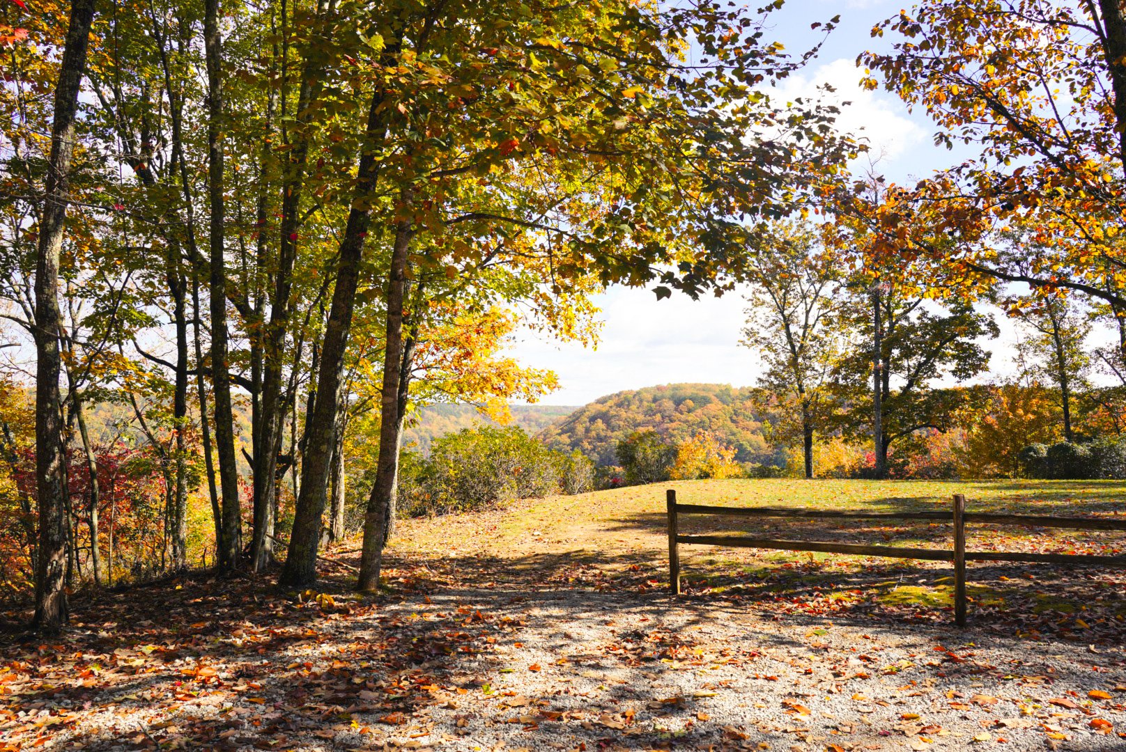 Scenic autumn landscape with trees with colorful fall leaves, a dirt pathway, and a distant hill under a partly cloudy sky.