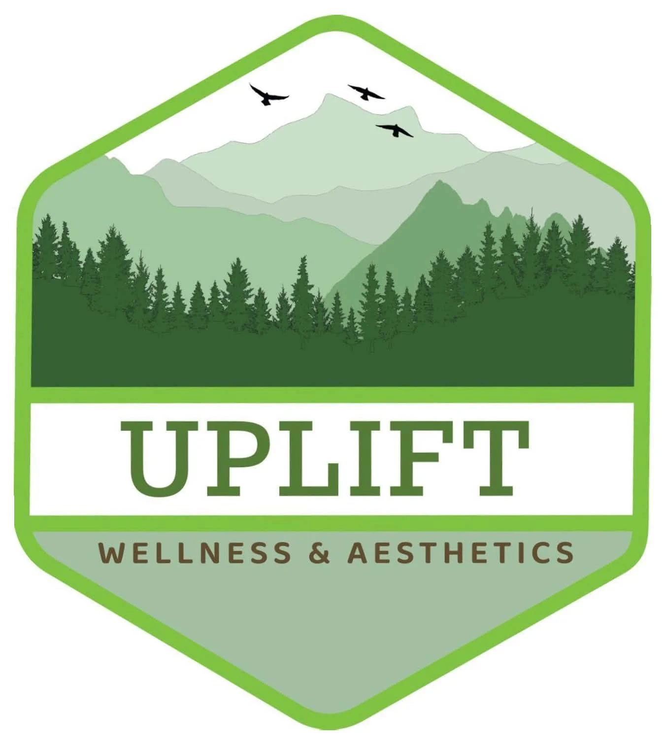 A logo with a mountain and forest scene, featuring mountains, pine trees, and birds, with the text 'UPLIFT WELLNESS & AESTHETICS' at the bottom.