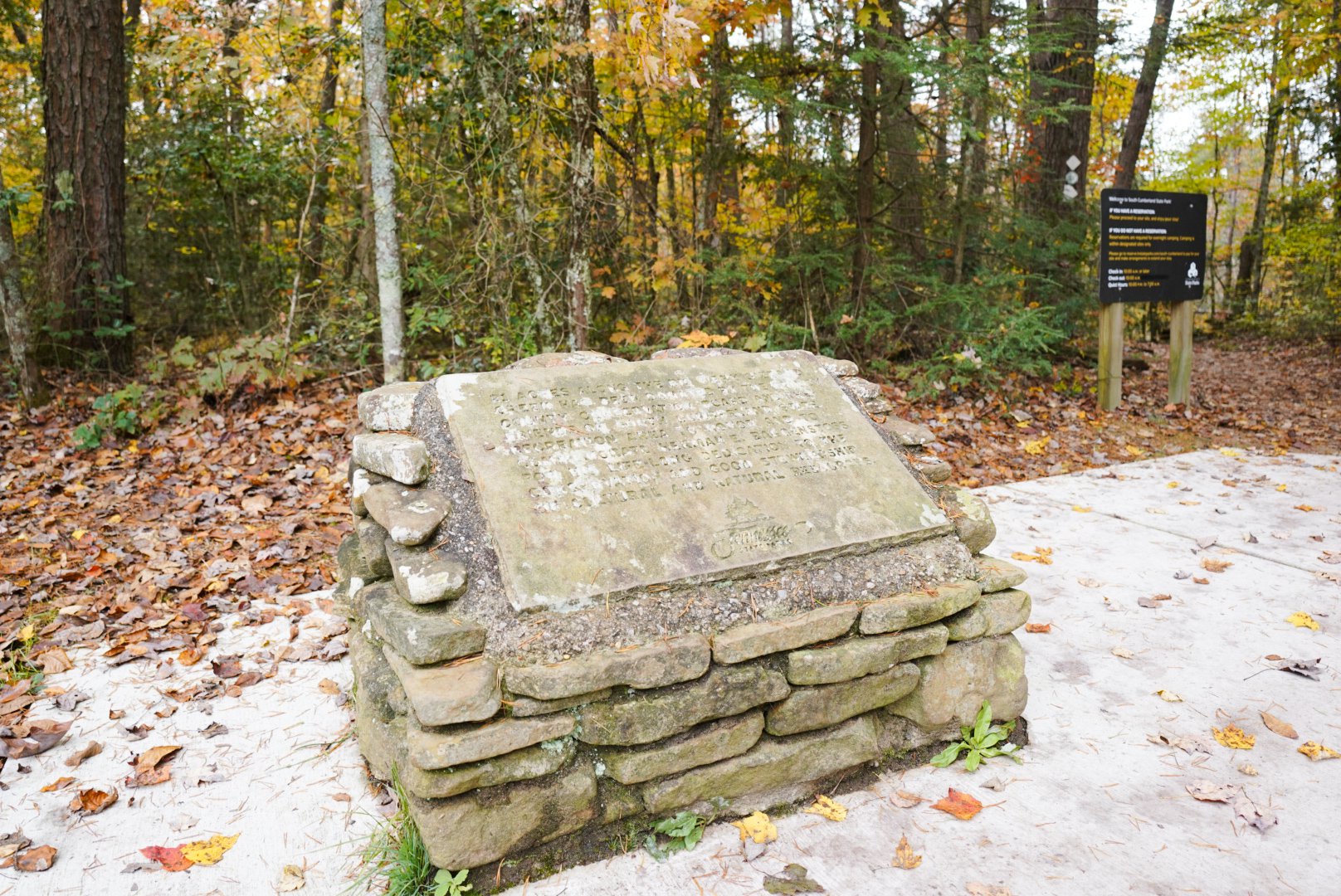 A stone memorial plaque on a short stone wall situated in a wooded area with fallen autumn leaves.