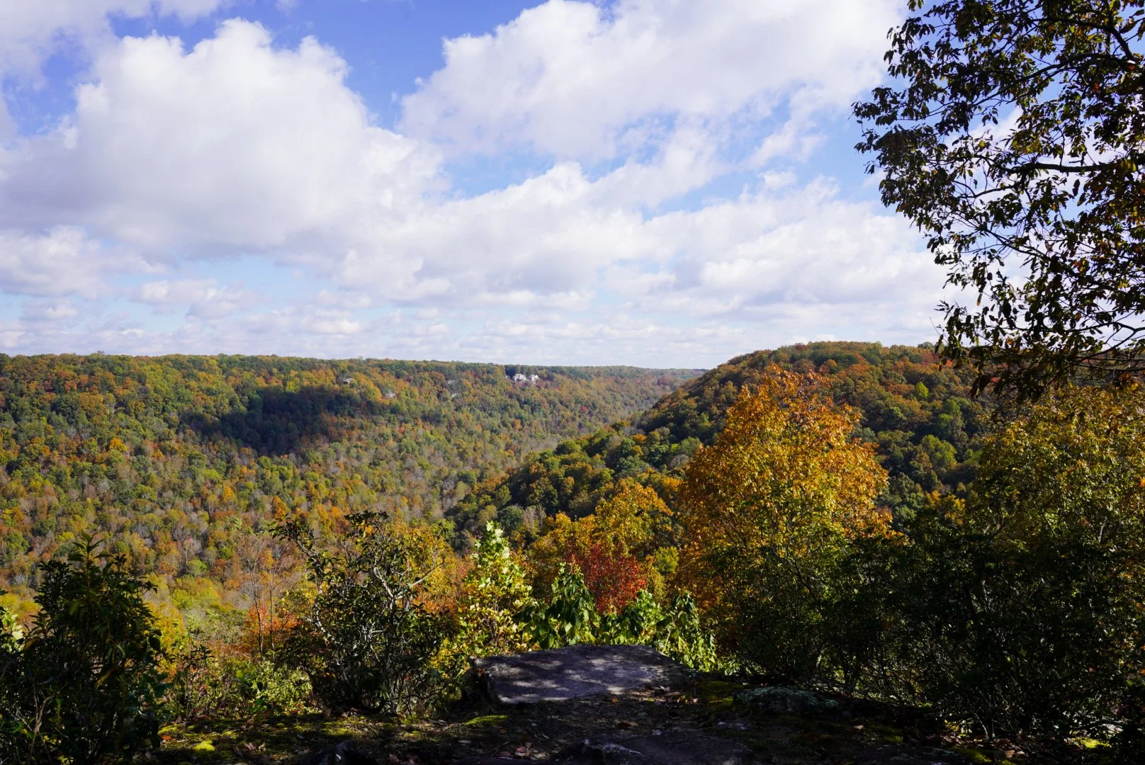 View of a forested valley with hills in the distance, under a partly cloudy sky, foliage showing fall colors.