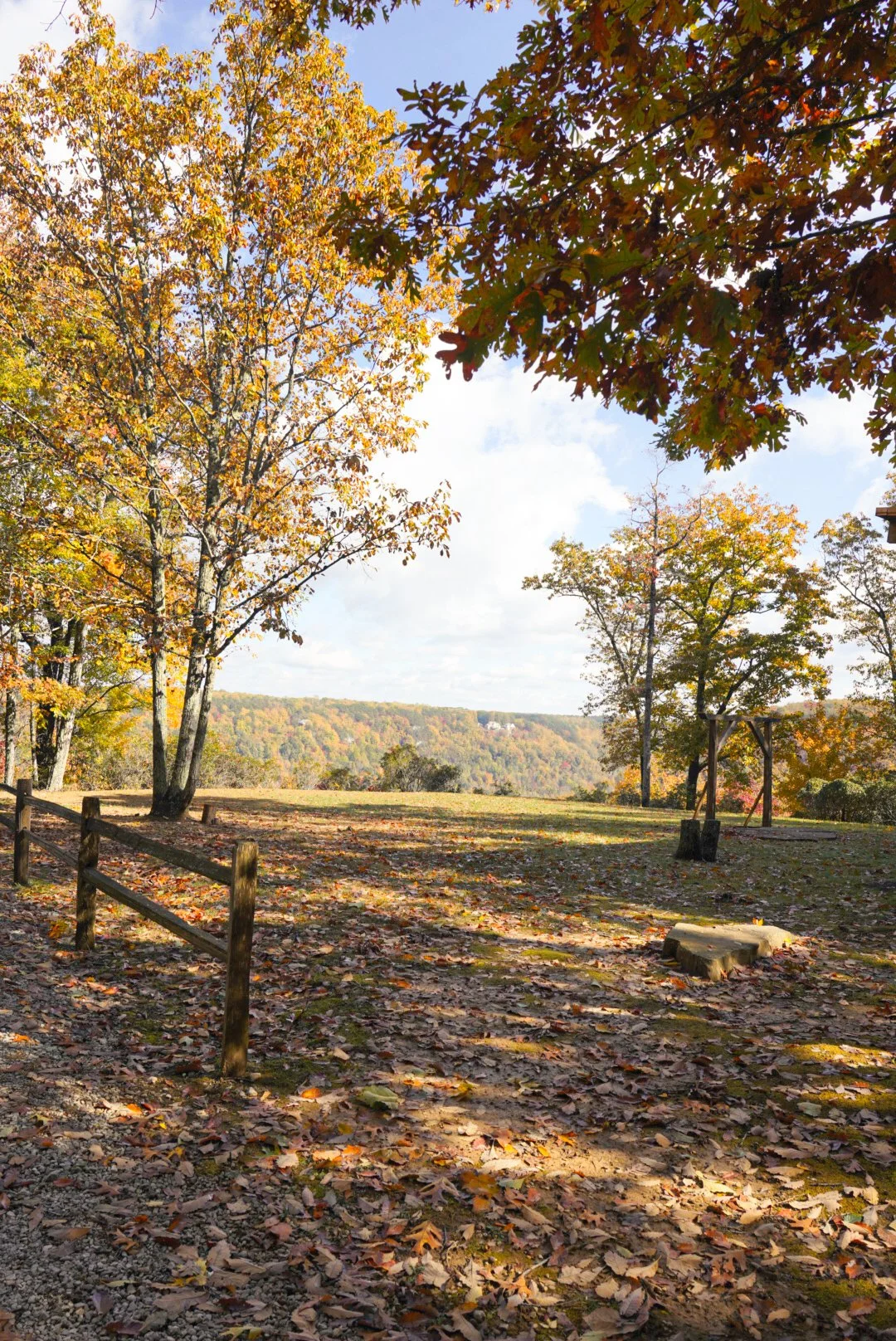 An outdoor scene of a park in autumn with fallen leaves on the ground, trees with orange and yellow leaves, and a background of rolling hills under a partly cloudy sky.