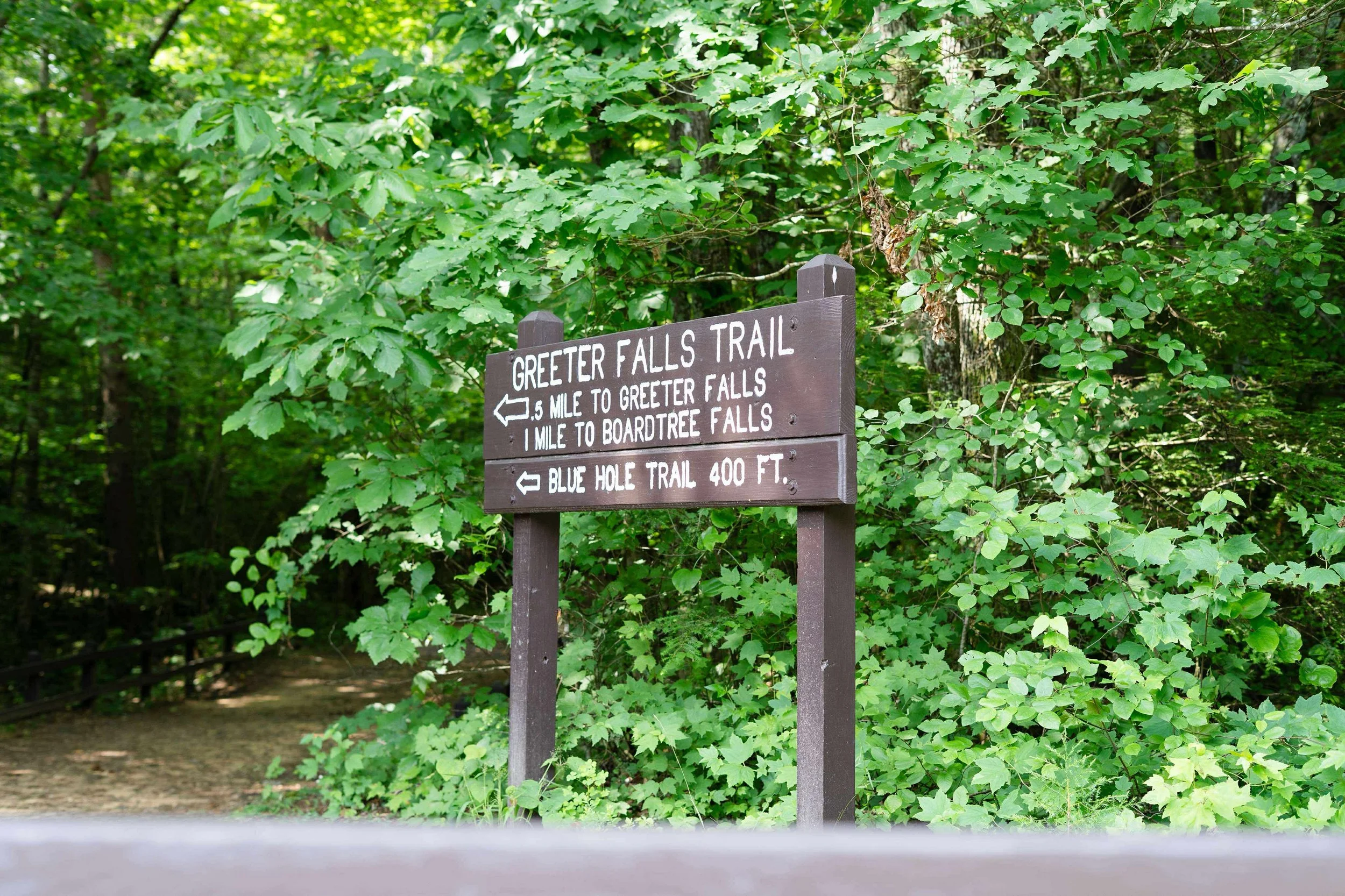 A trail sign with directions for Greeter Falls Trail and Blue Hole Trail, located in a forested area with lush green leaves.