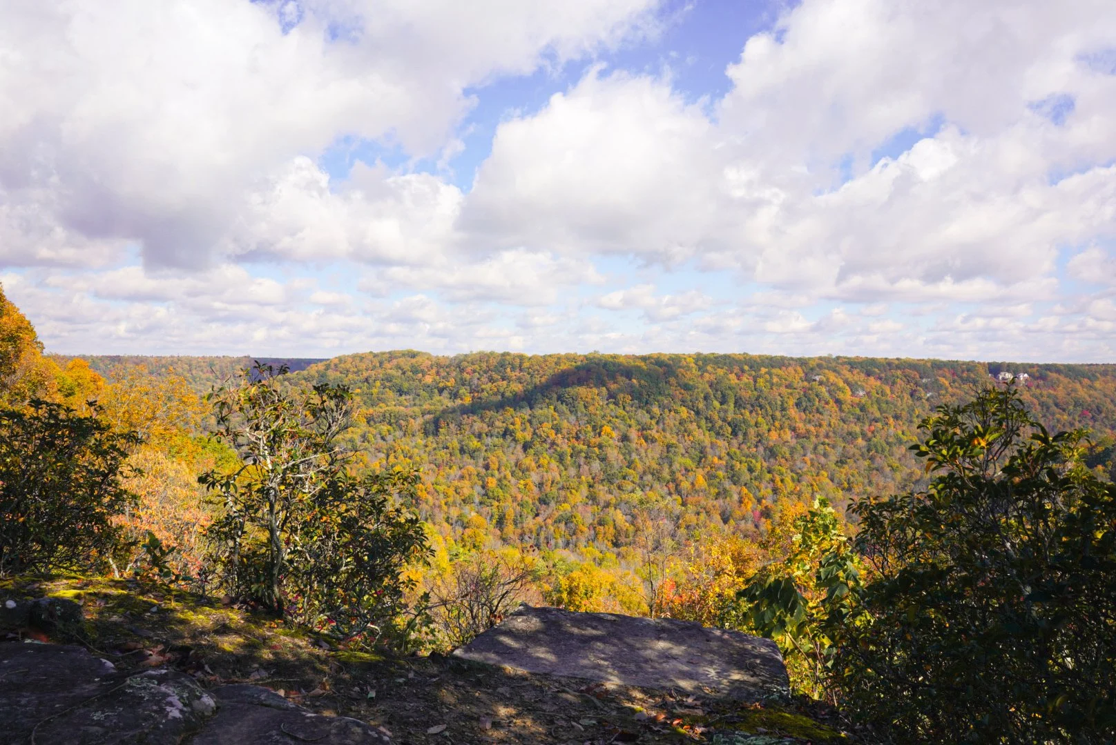 A scenic view of a forested valley with fall foliage, under a partly cloudy sky, taken from a rocky overlook.