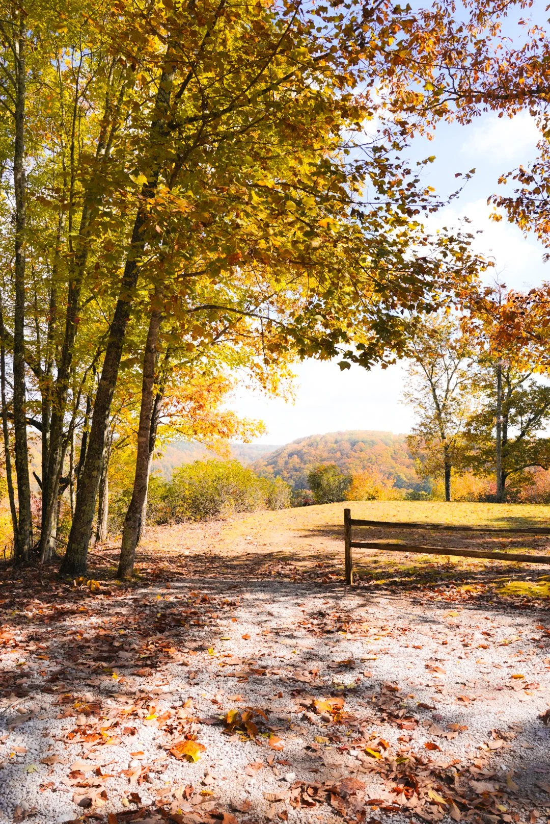 A dirt pathway covered with fallen autumn leaves, lined by trees with yellow and orange leaves, leading towards distant rolling hills under a partly cloudy sky.