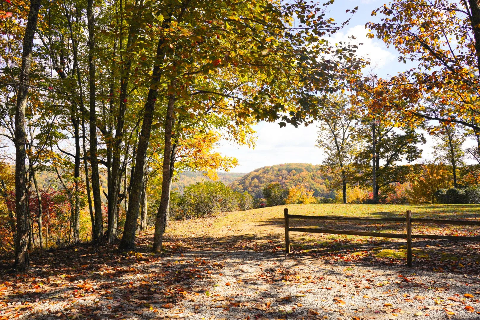 A scenic view of an autumn landscape with trees shedding leaves, a dirt path, a wooden fence, and rolling hills in the distance under a partly cloudy sky.