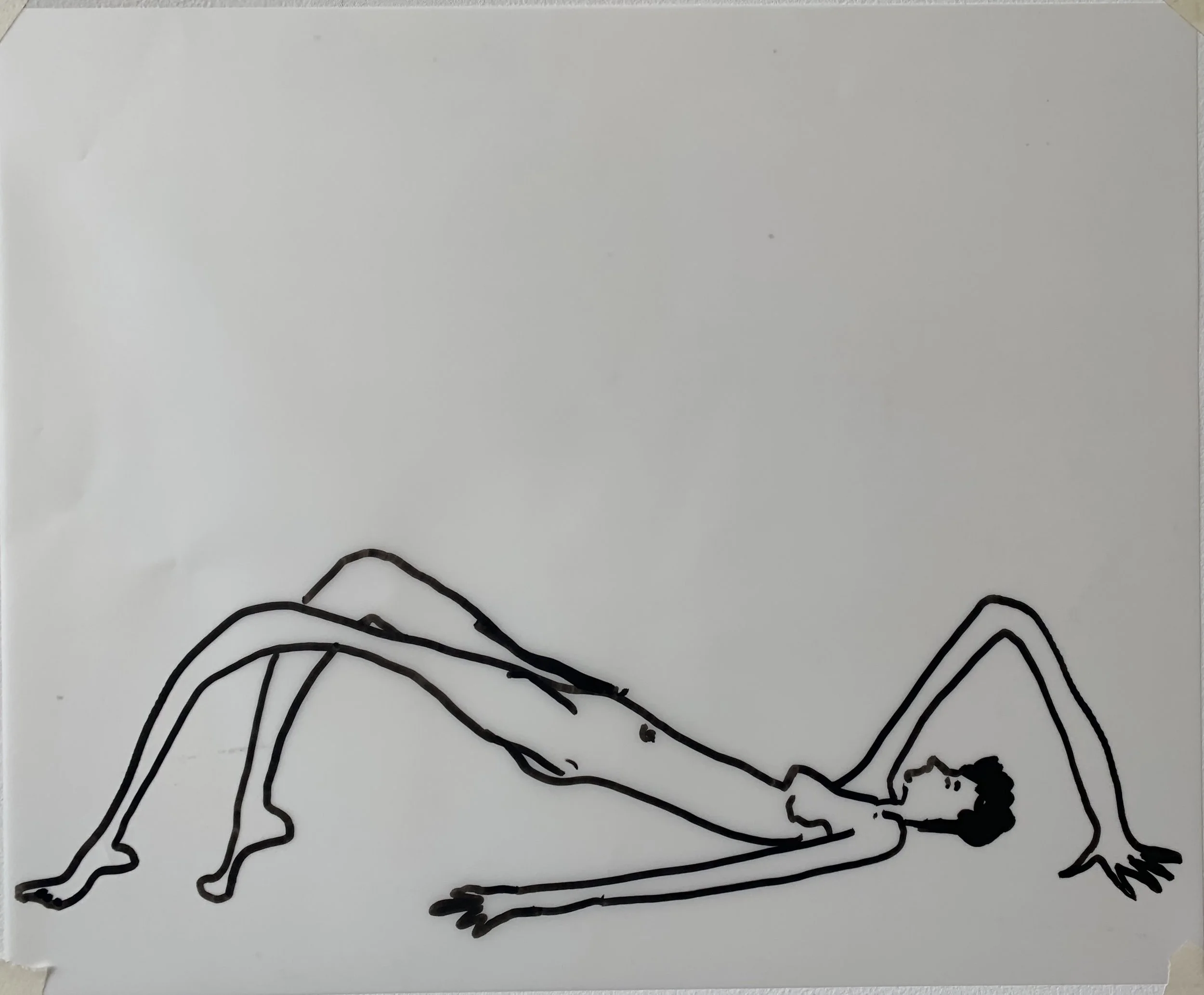 India ink on frosted mylar