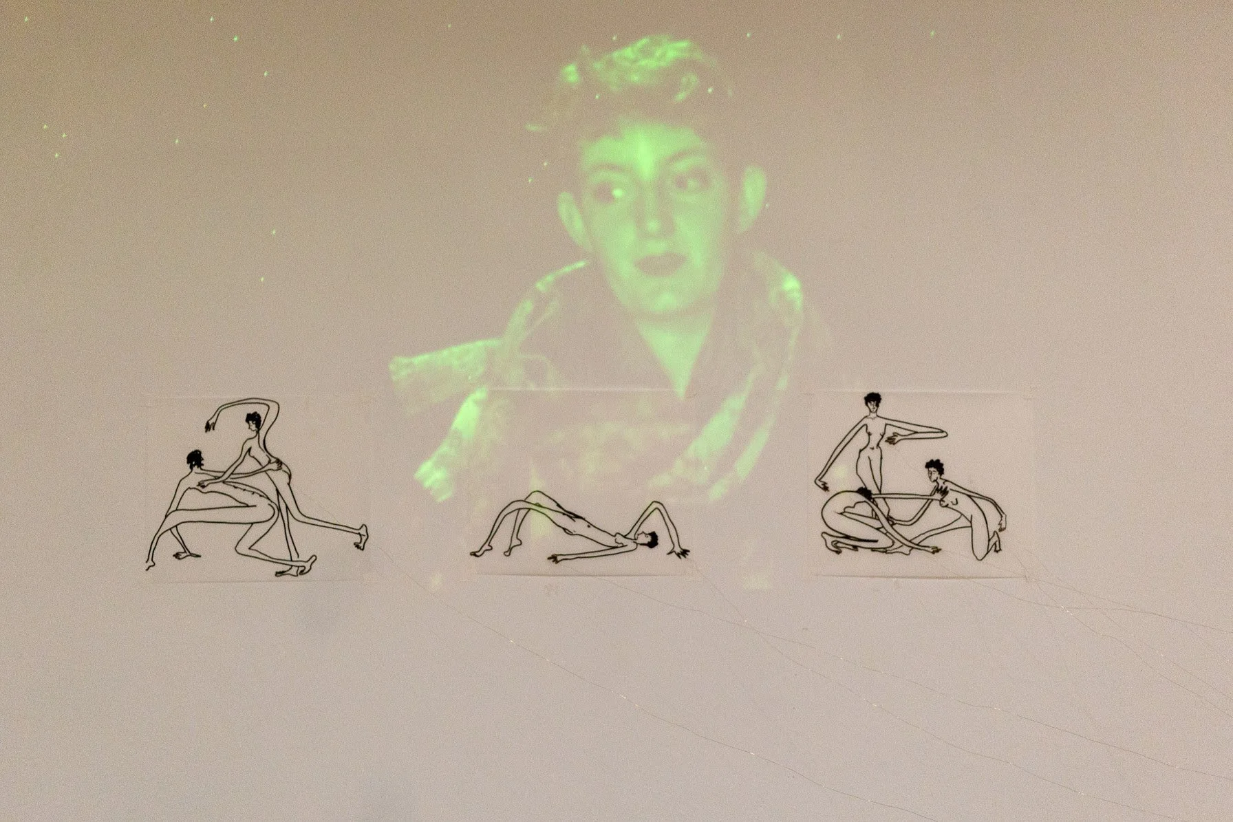 Video projection, India ink on frosted mylar, brass wire; see below for video content