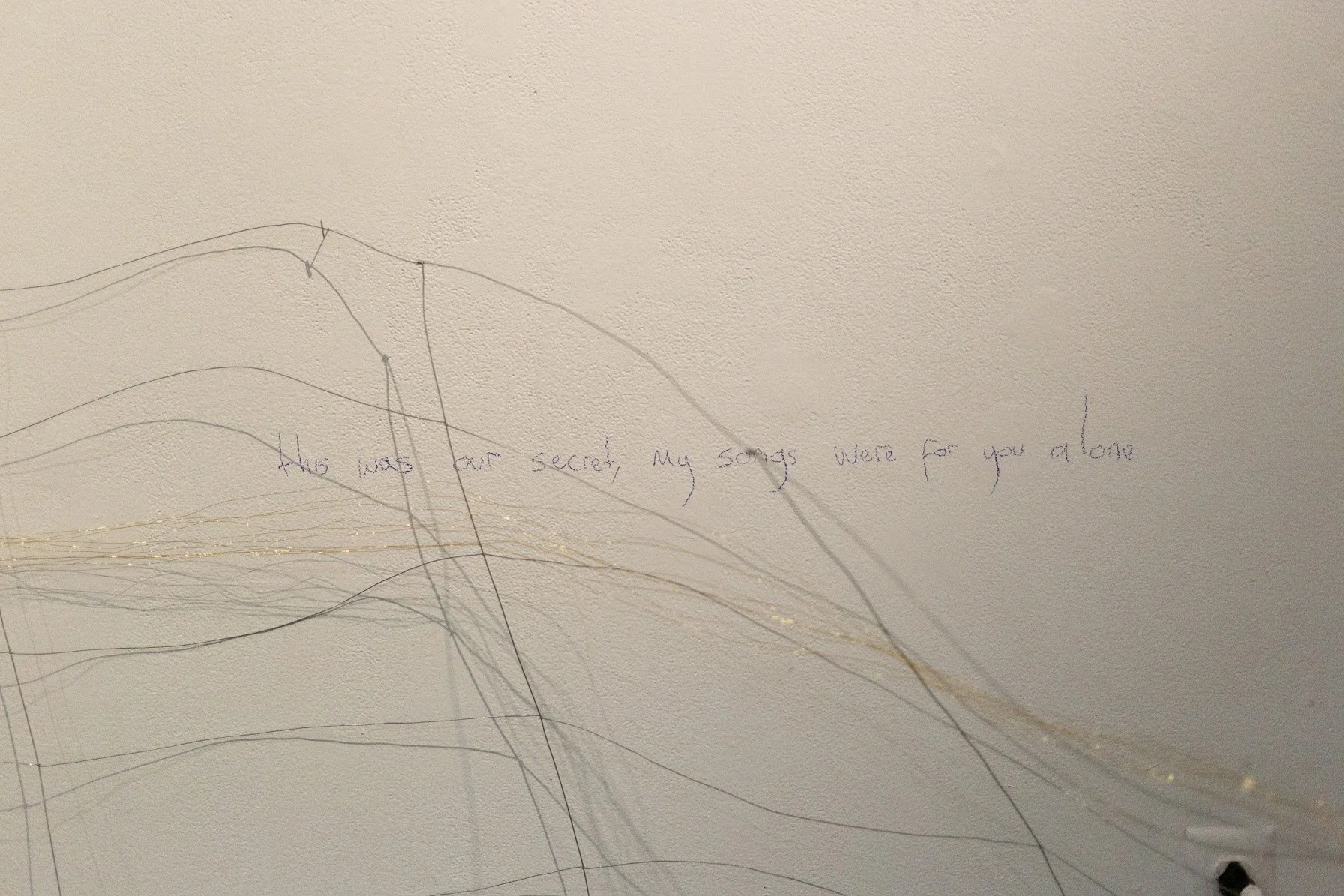 Brass and steel wire, colored pencil on wall