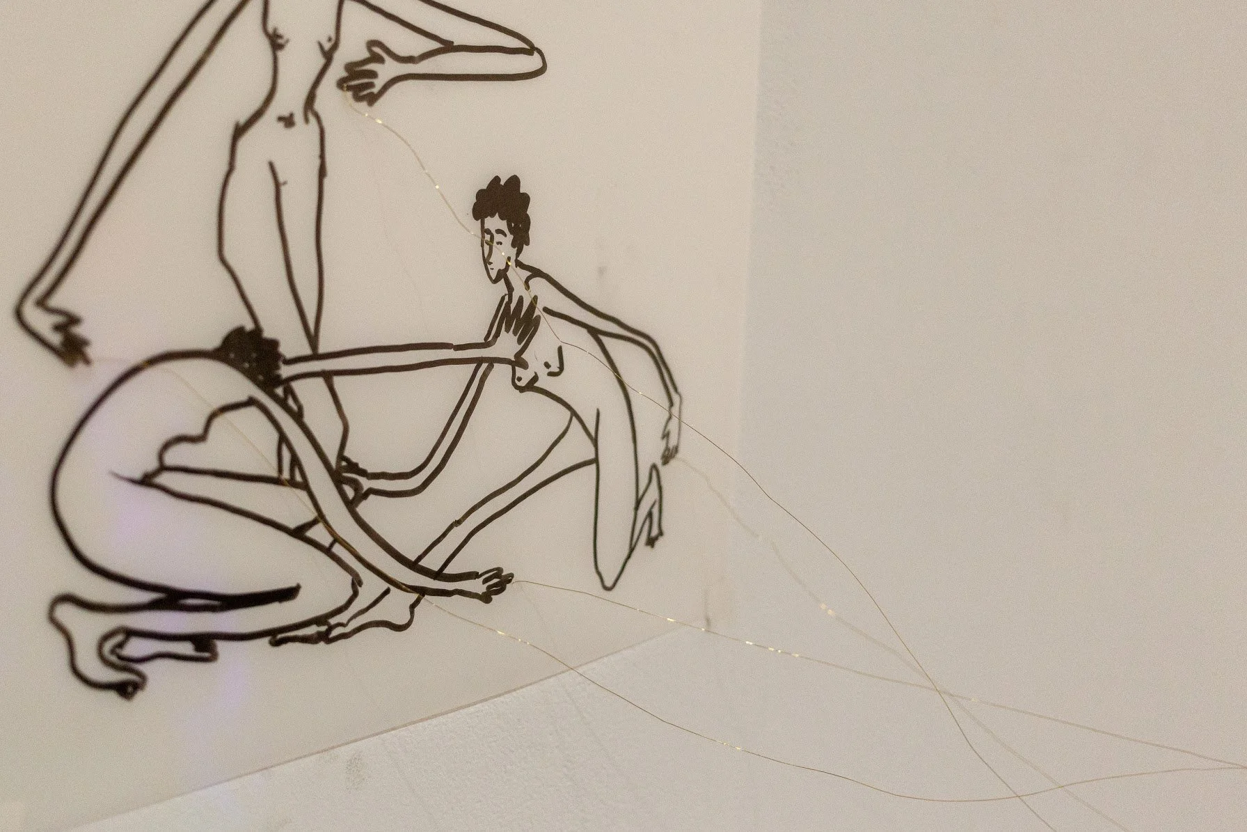 India ink on frosted mylar, brass wire