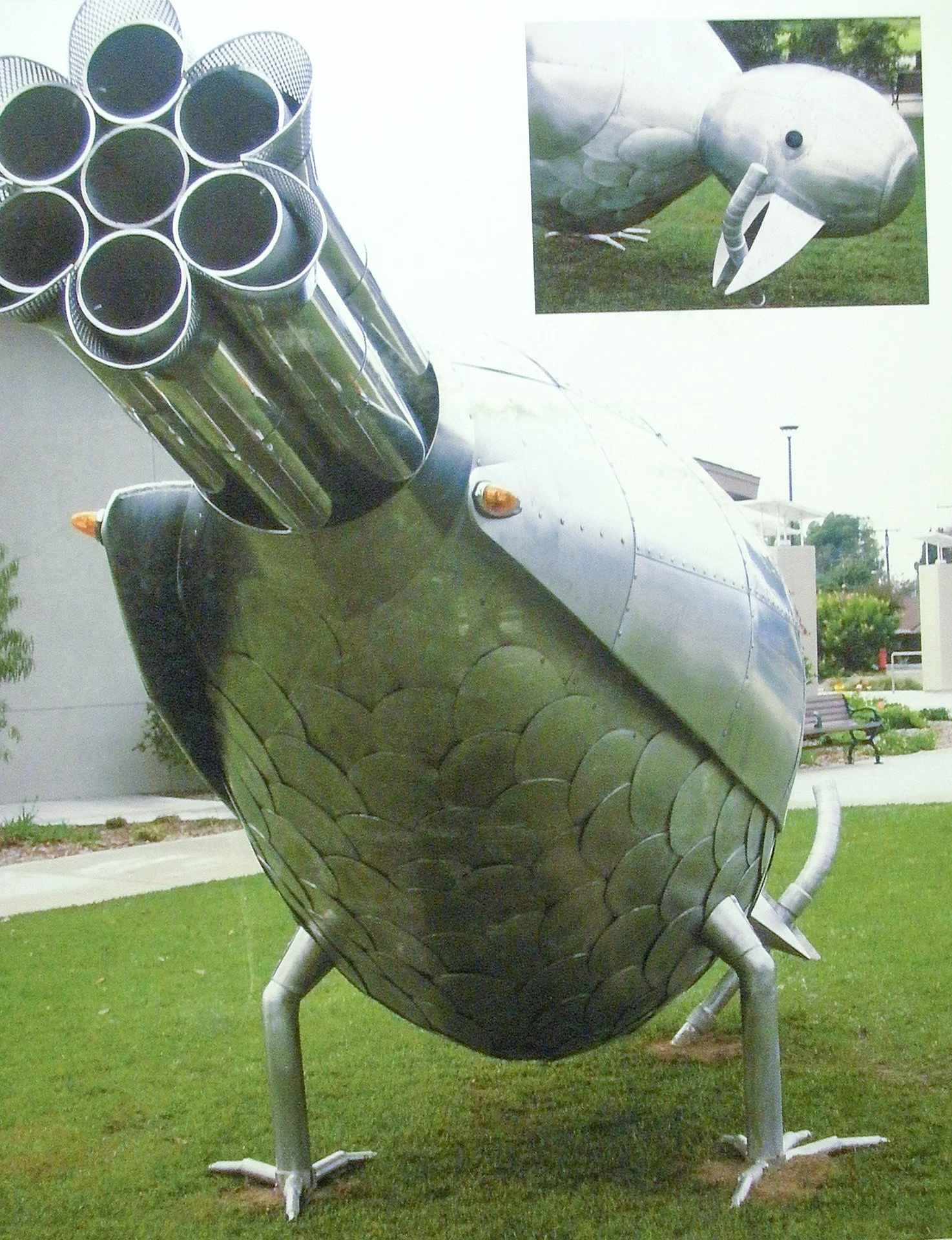 12.RocketRobin.jpg