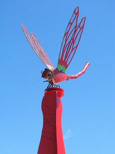 TobuBo6.jpg
