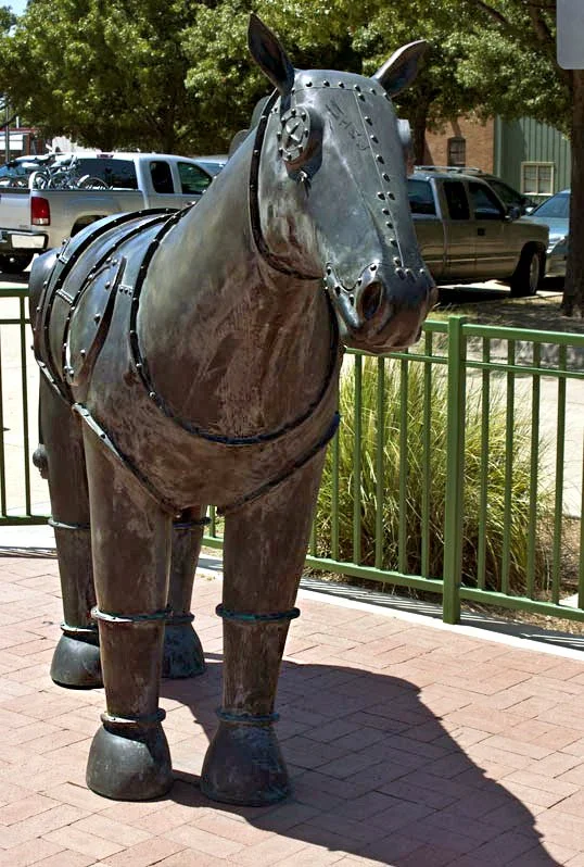 horse1 copy.jpg