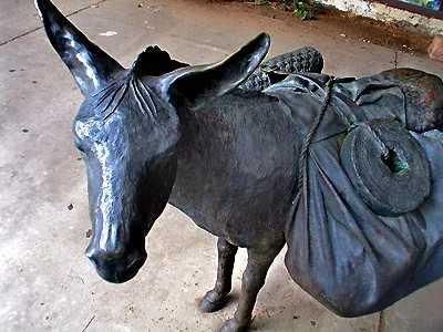 donkey copy.jpg