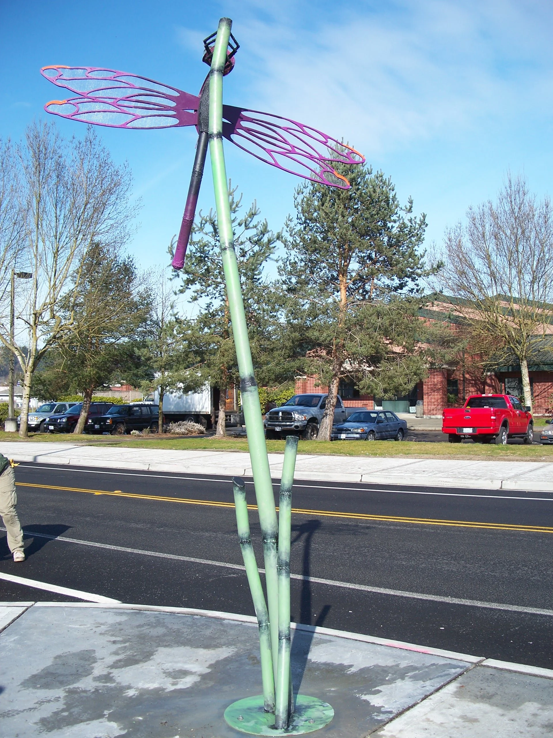 dragonfly.jpg