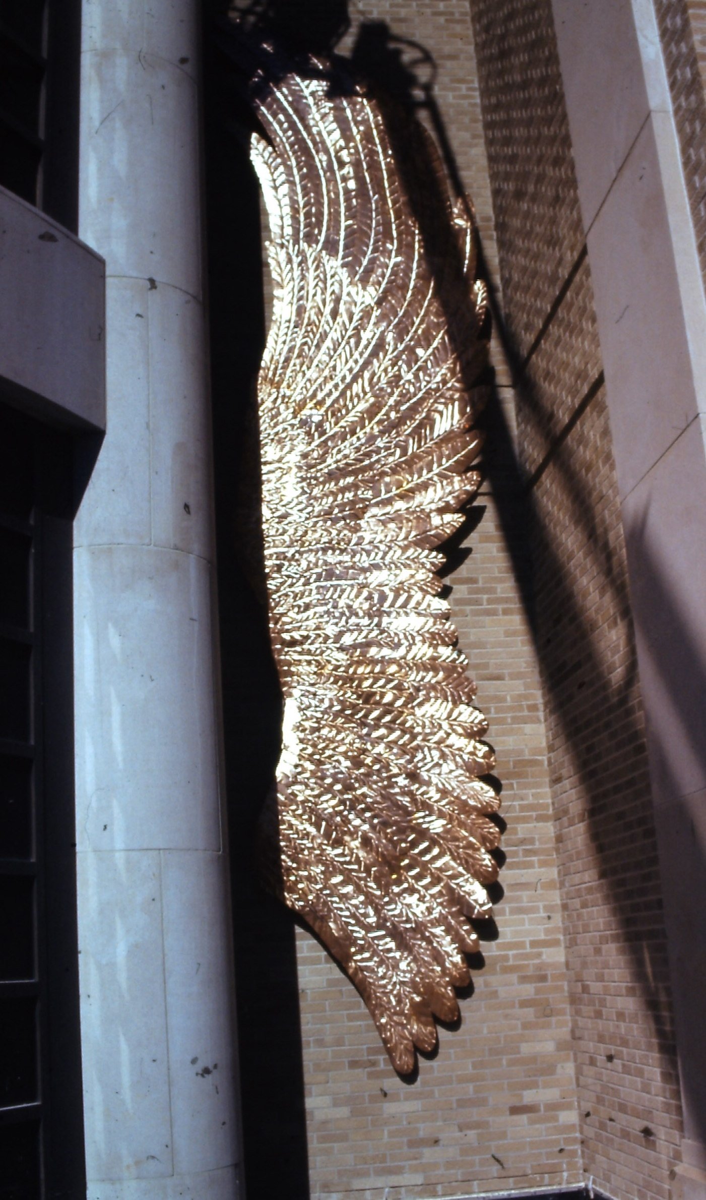 wings, copper detail.JPG