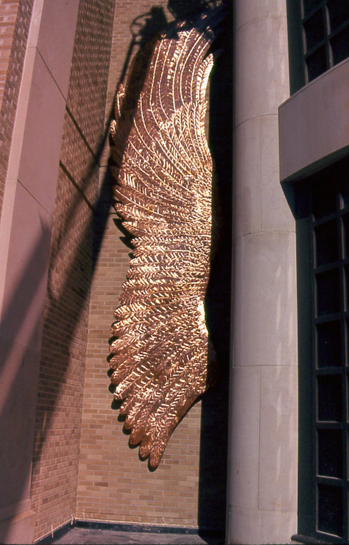 askman_20_WIngs_detail.jpg