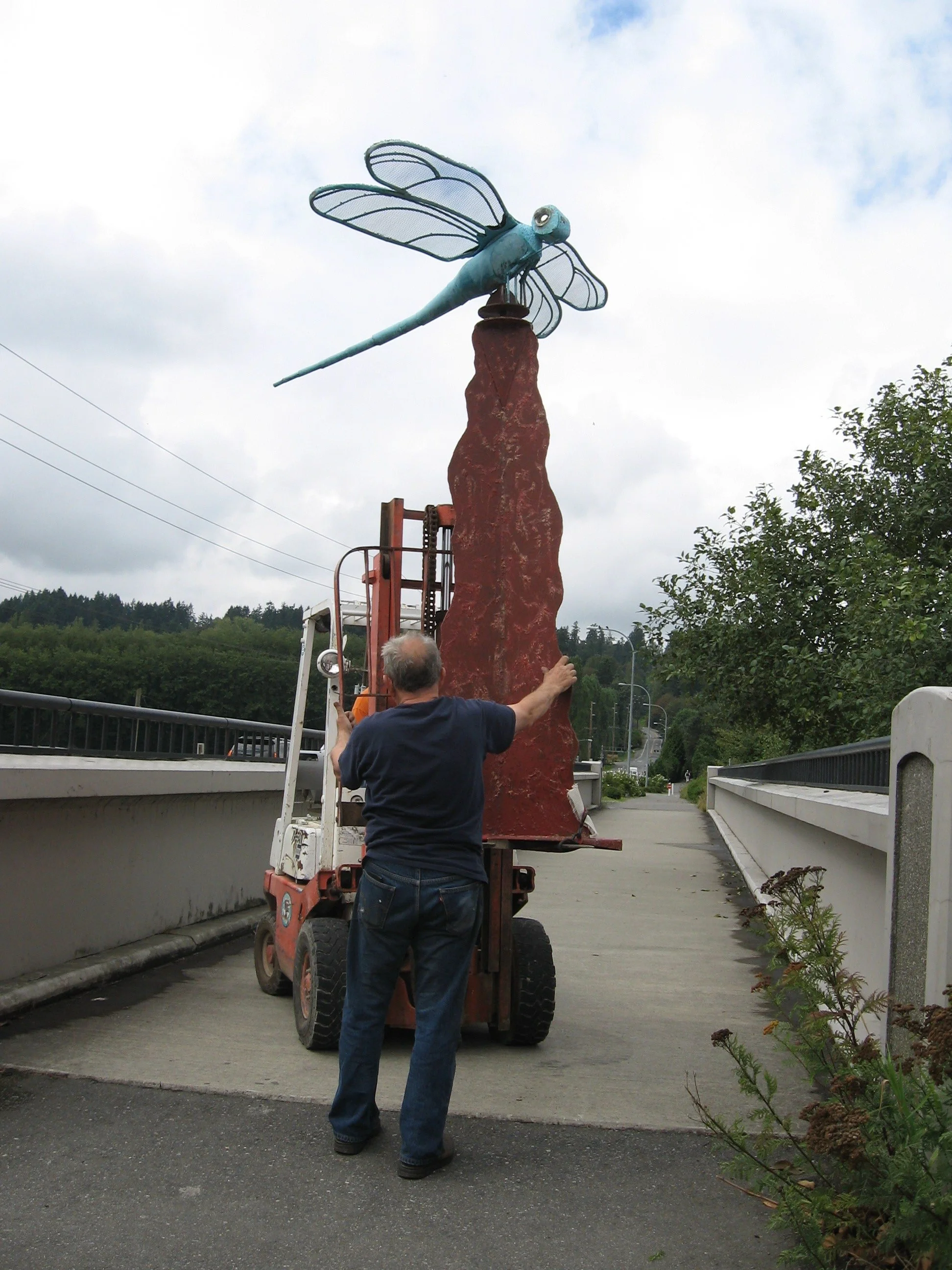 Dragonflies 001.jpg