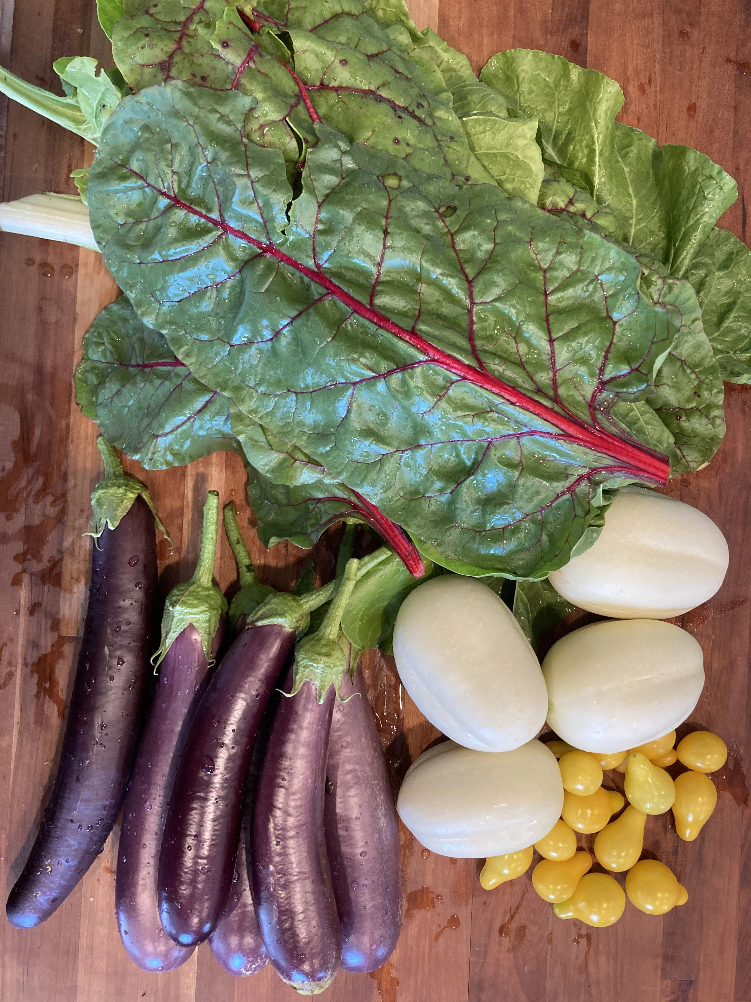 chard eggplants cucumber yellow tomatoes.JPG