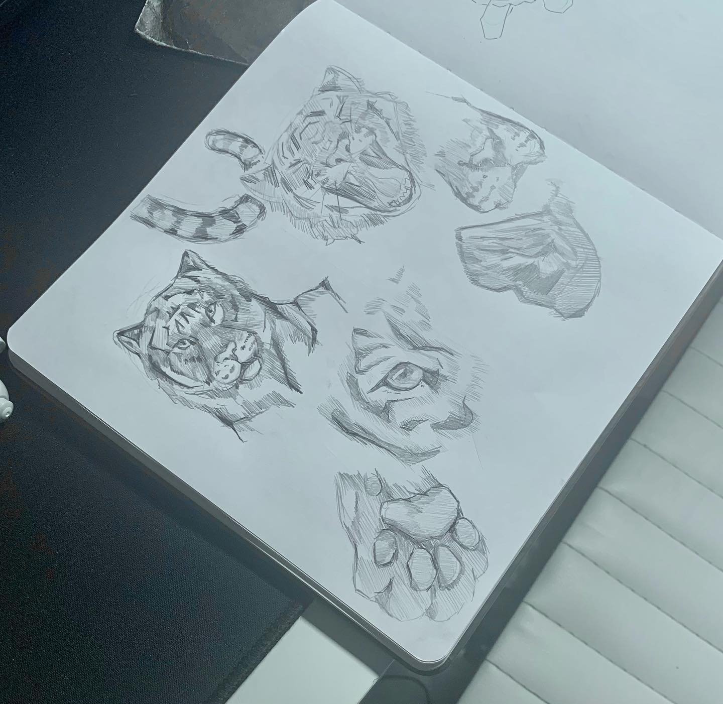 Late night 🐯 Sketchies
.
.
.
Happy Saturday.
#tradtionalart #art #smallartist #artist #youngartist #drawing #sketch #sketchbook #sketching #tiger #grr #doodle #latenightsketch #studentart #artistsoninstagram