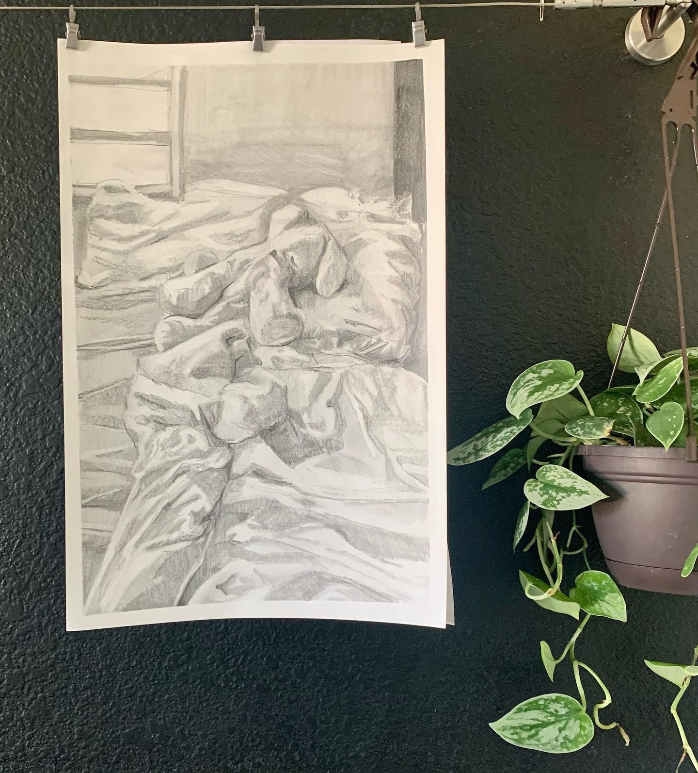 First AP Art still life’s of many…
Ft. My childhood stuffy, Pinky
.
.
.
Prompt: Messy Bed
#stilllife #pencildrawing #realism #art #artistsoninstagram #youngartist #apart #ap #traditionalart #artist #bedroom #plant #bed #beddrawing #be