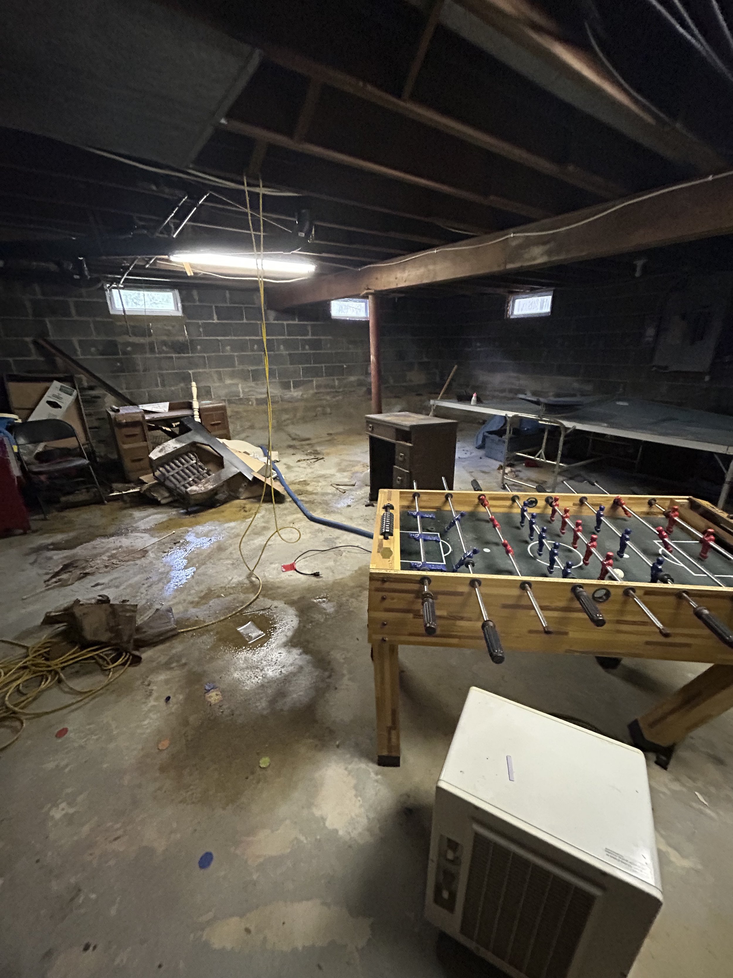 Basement Cleanout in Williamstown, NJ