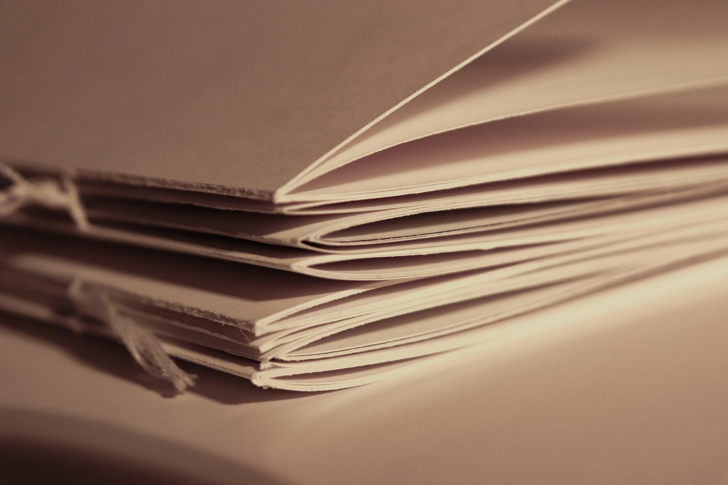 TSARBOOKLET-11.jpg