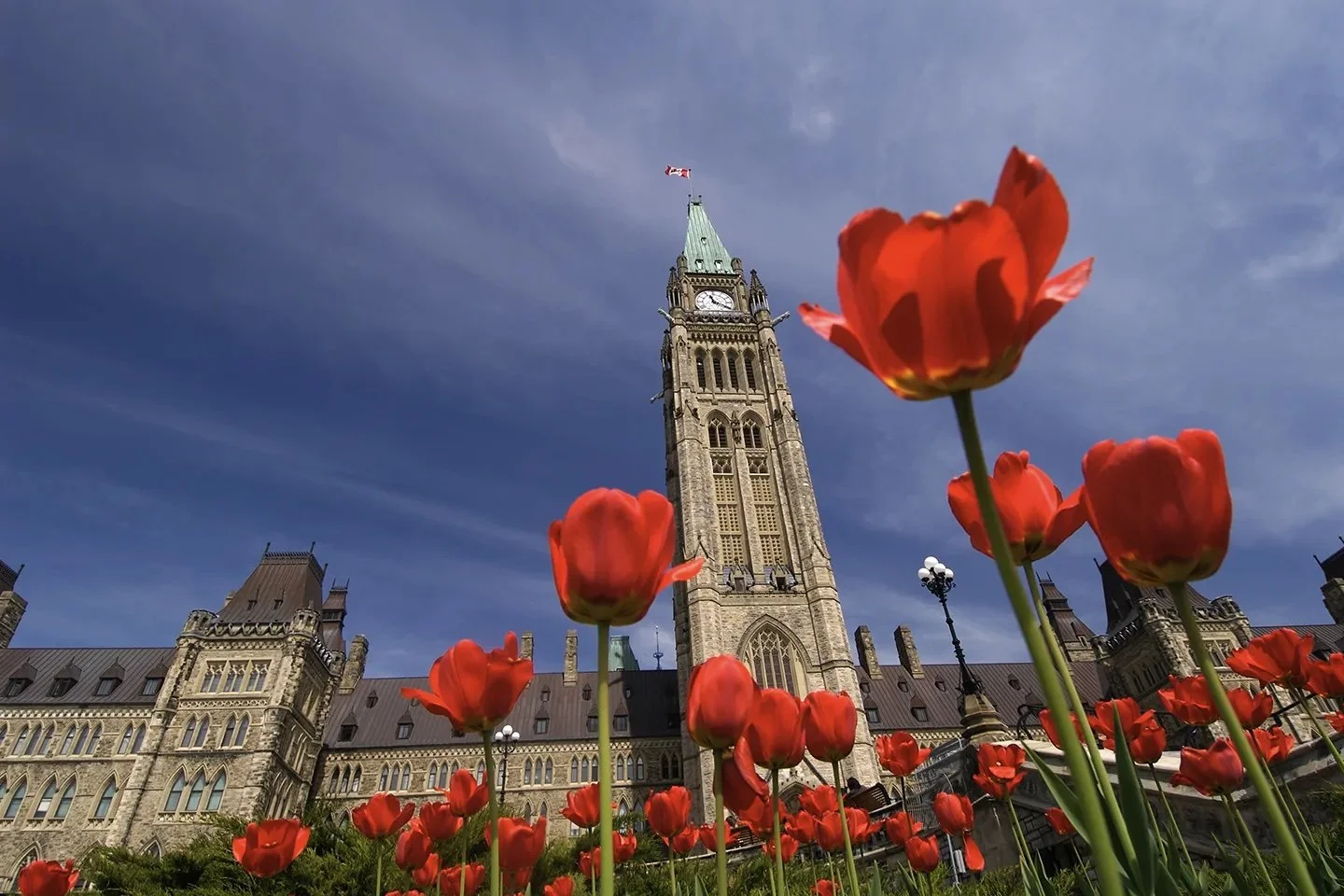 A FIRST STEP TO BUILDING A BETTER DEMOCRACY IN CANADA 