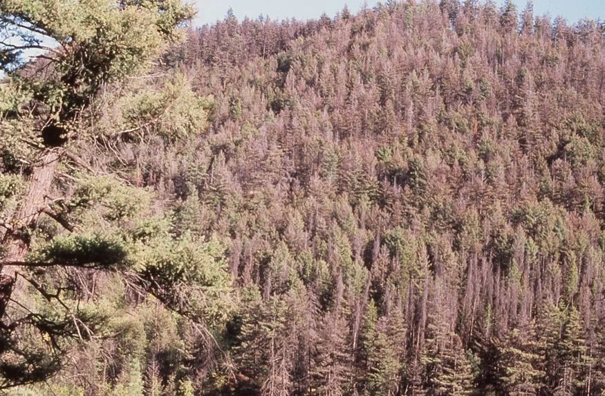 CORPORATE PROFIT IS ALWAYS PUT AHEAD OF HUMAN LIFE AND THE PROTECTION OF OUR PLANET