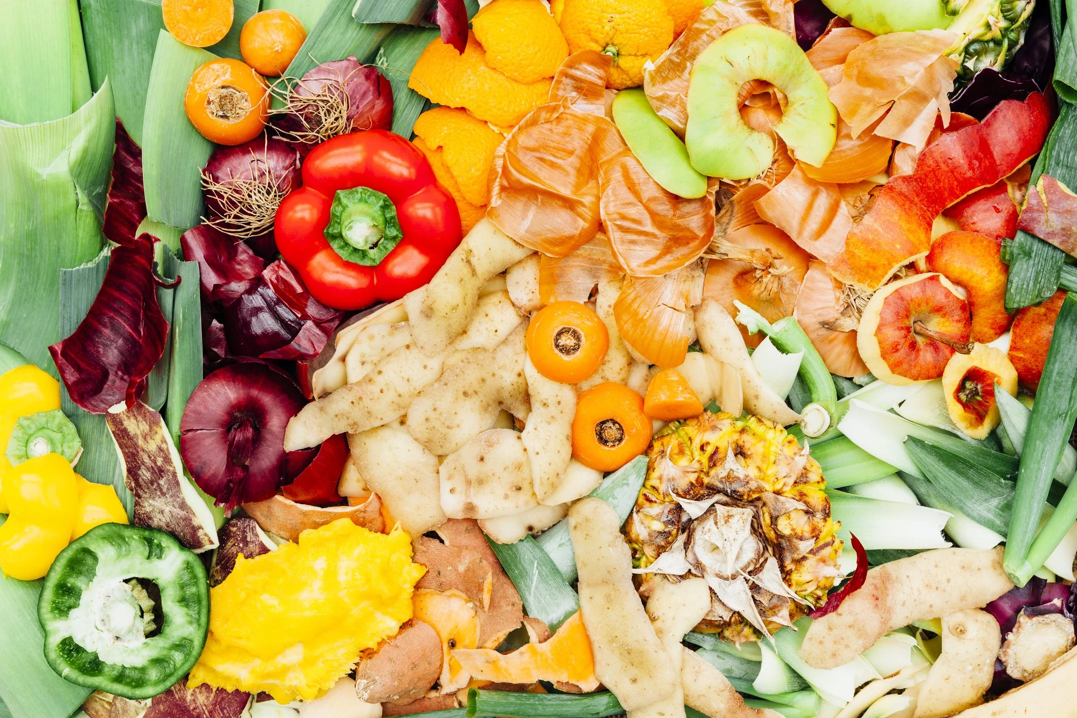 Massachusetts Eyes Stronger Organics Rules And a Smarter Future