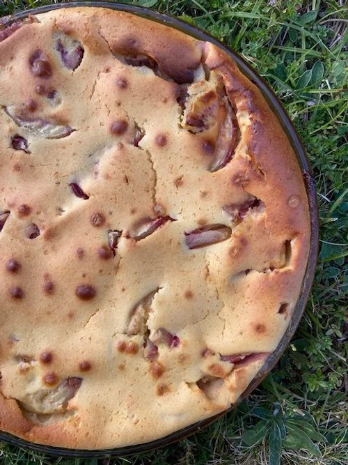Clafoutis pêche de vigne - feuille de figuier