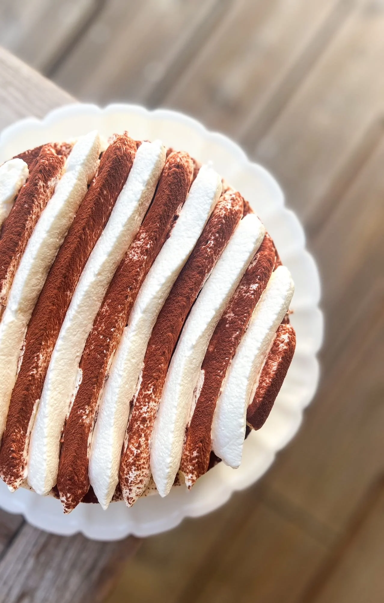 Tiramisu.jpg