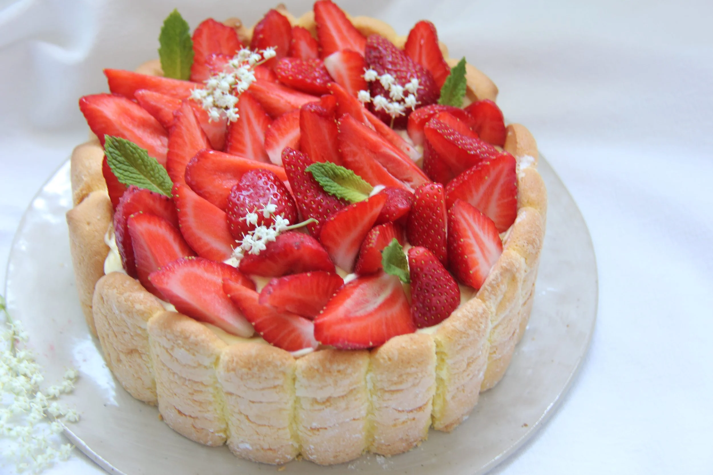 Charlotte fraise et sureau.jpg