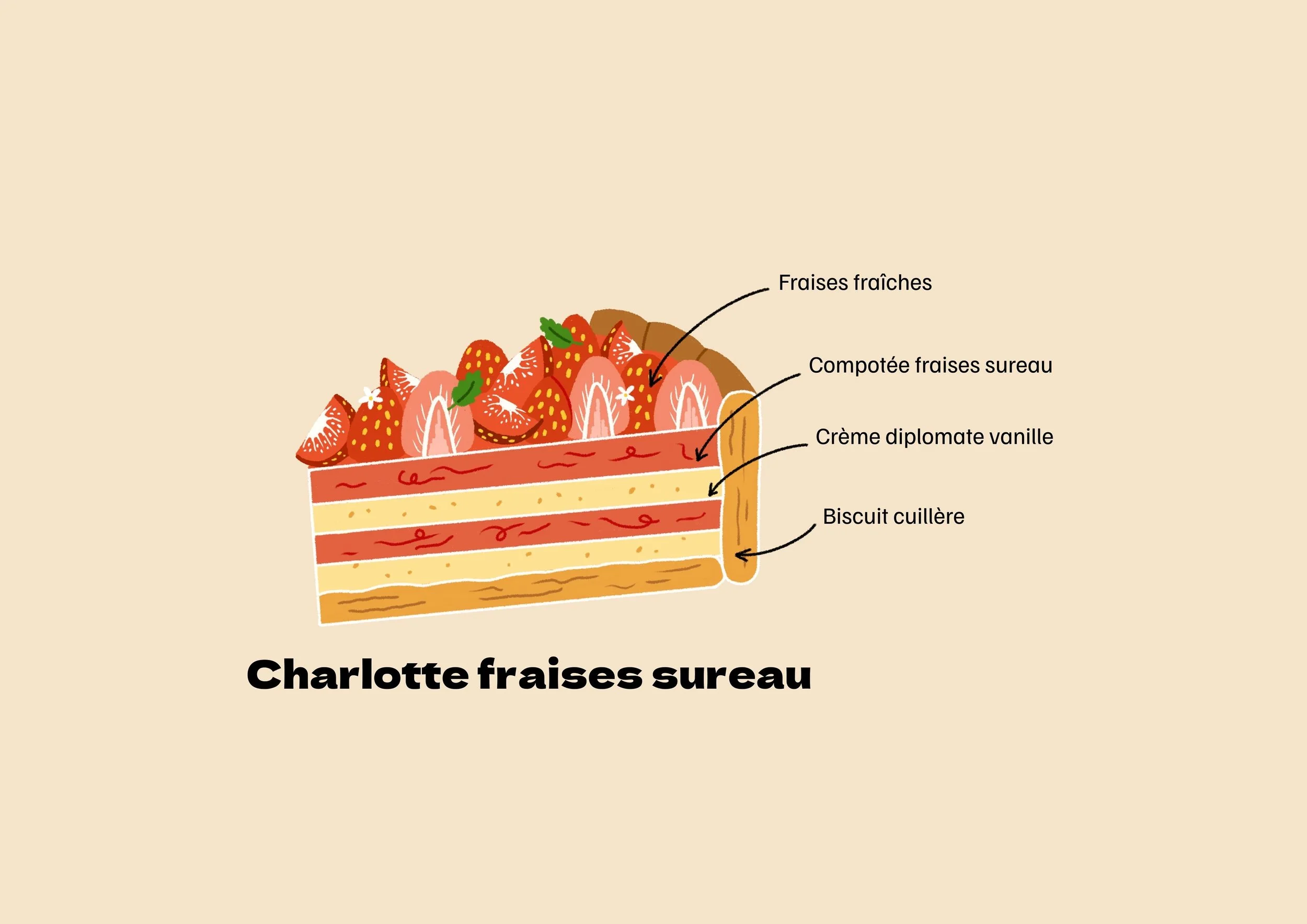 Charlotte fraises sureau.jpg