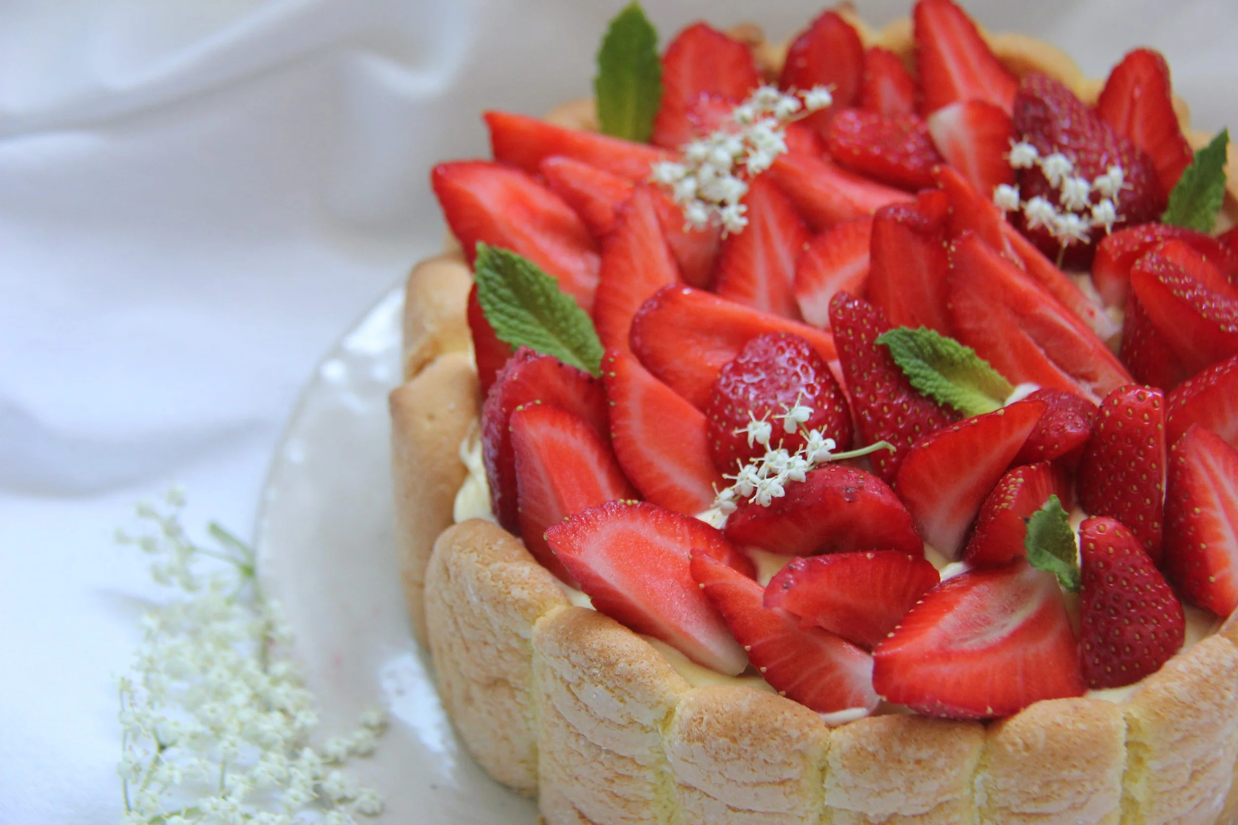 Fraise et sureau.jpg