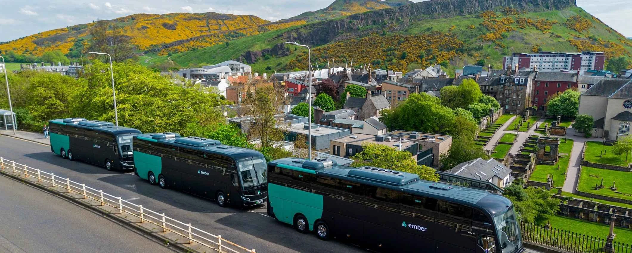 Three Ember electric buses parked on a street overlooking a town with a graveyard and hills covered with yellow flowering bushes in the background.