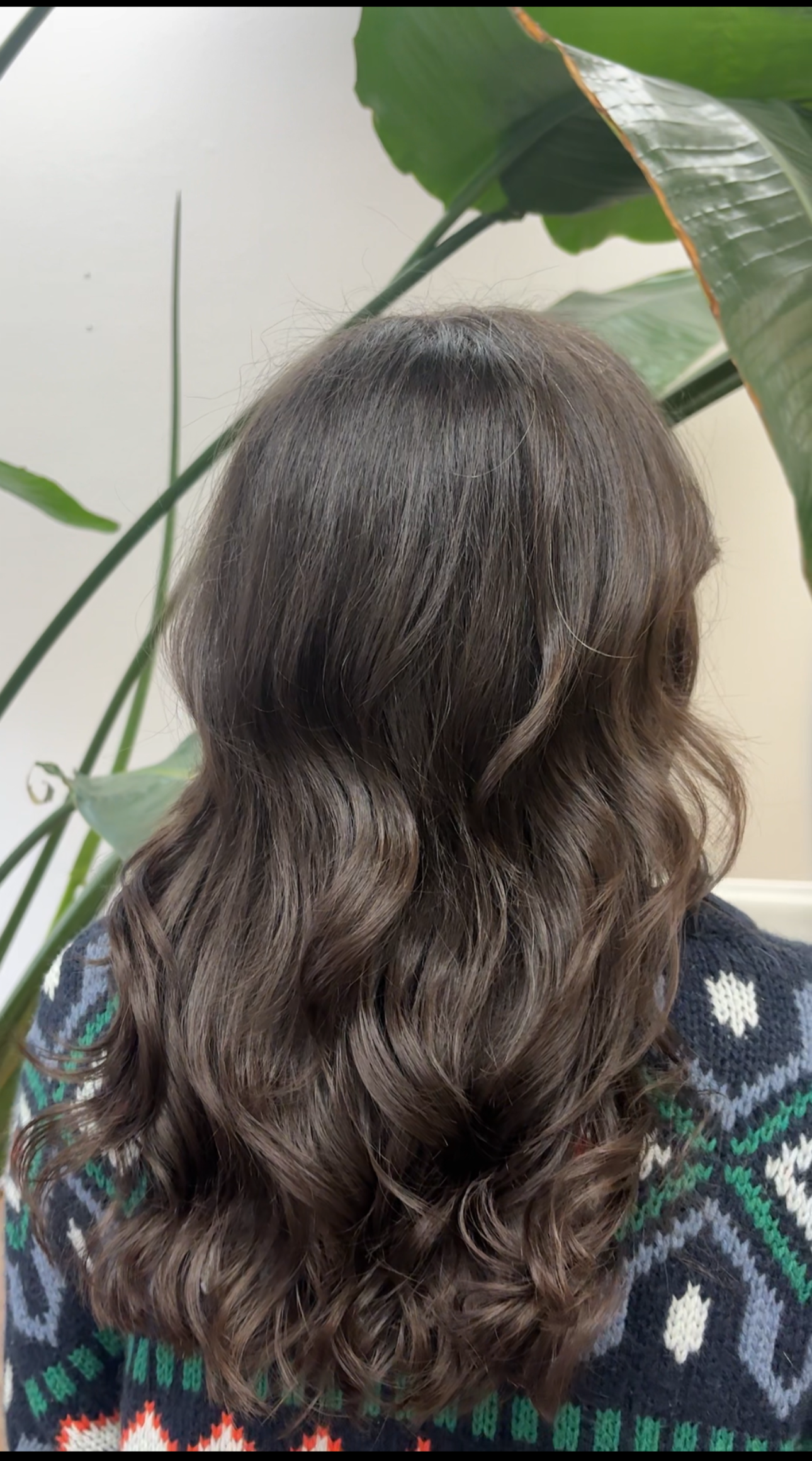 Back view of a woman with long, wavy brown hair wearing a colorful patterned sweater, standing in front of large green leaves.